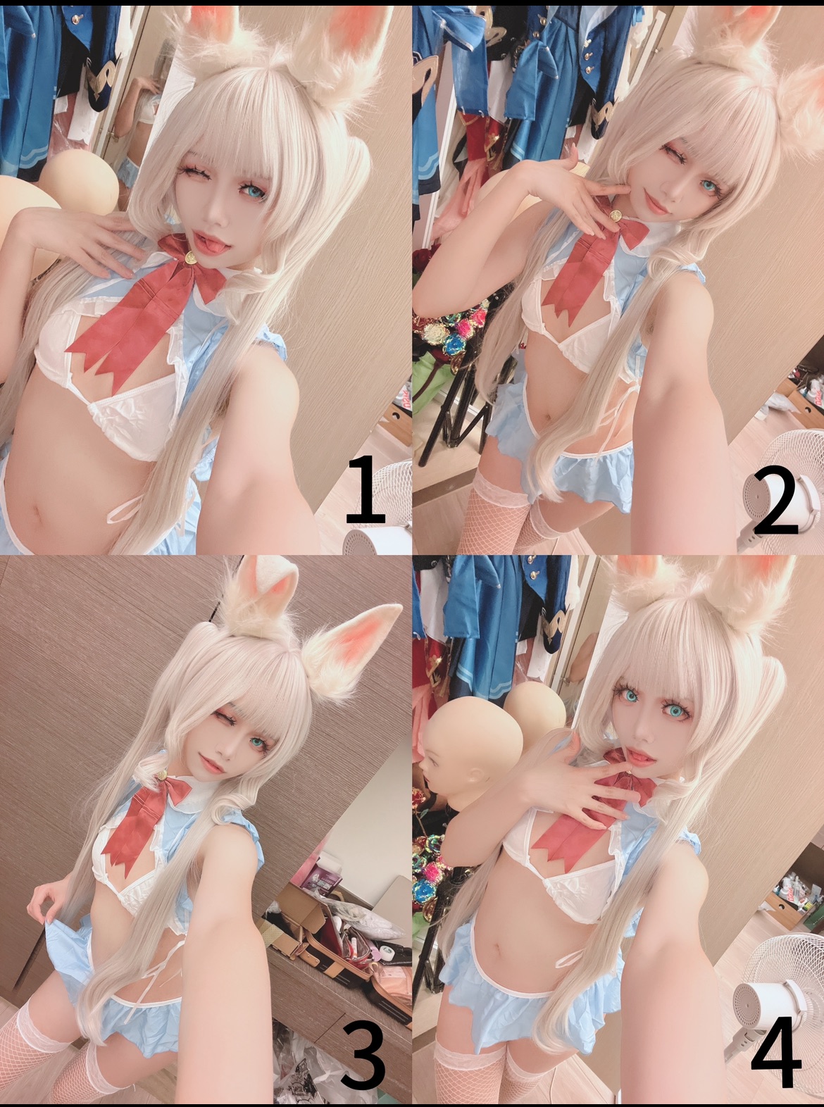 落櫻兔兔（普通版）