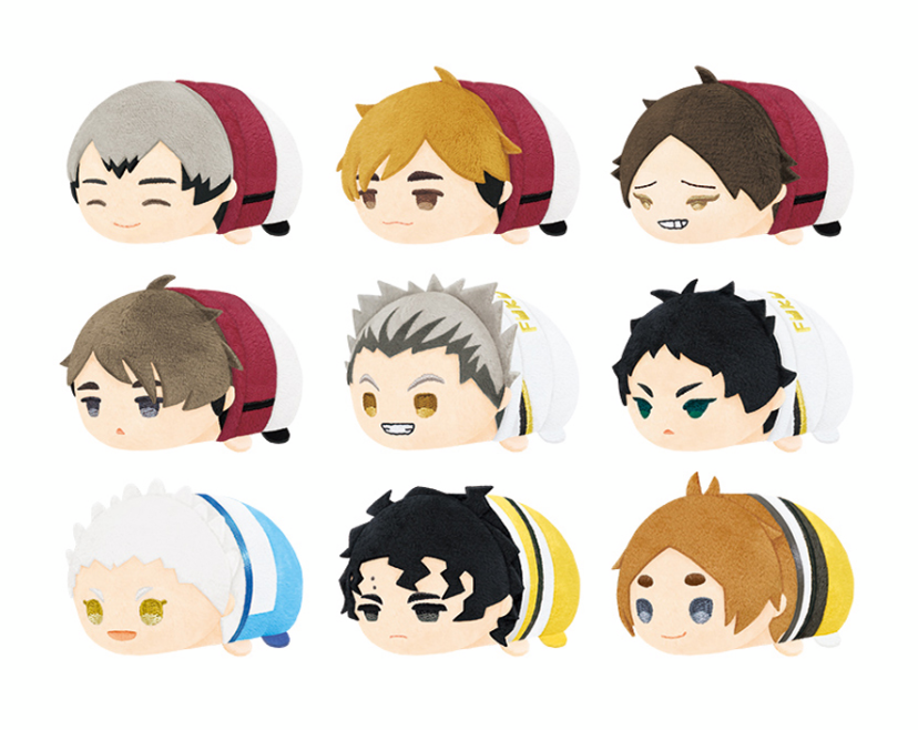 排球 第五彈 趴娃