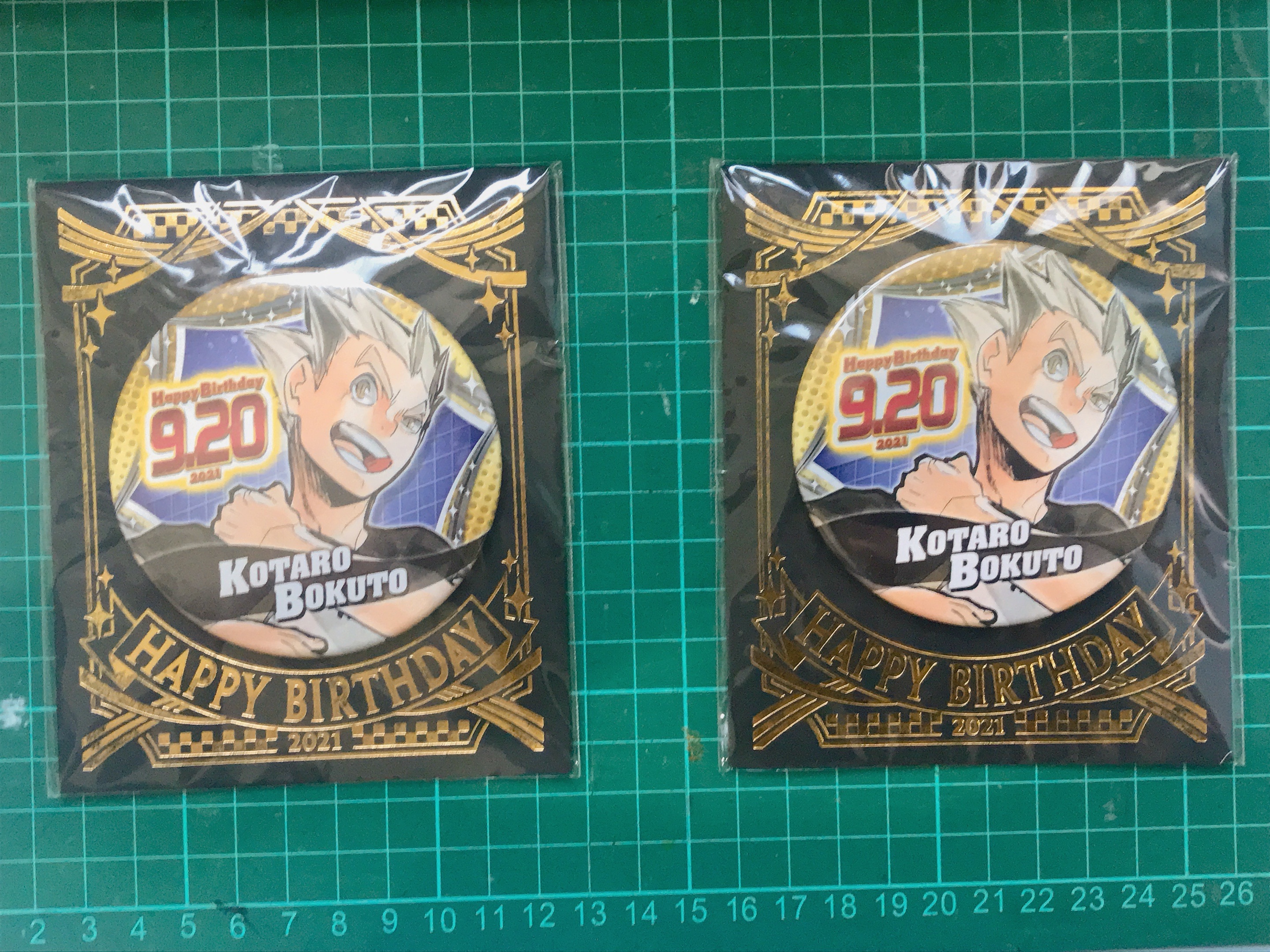 2021 生日徽章 木兔