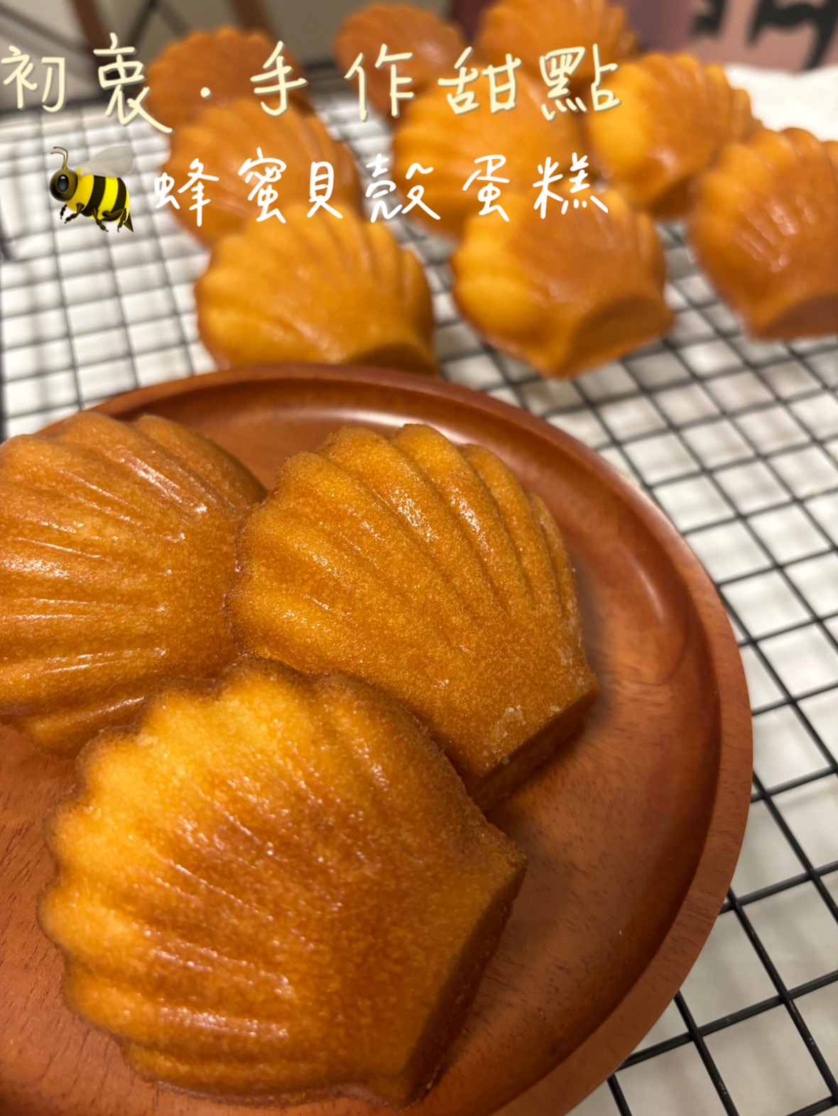 🍯蜂蜜貝殼蛋糕