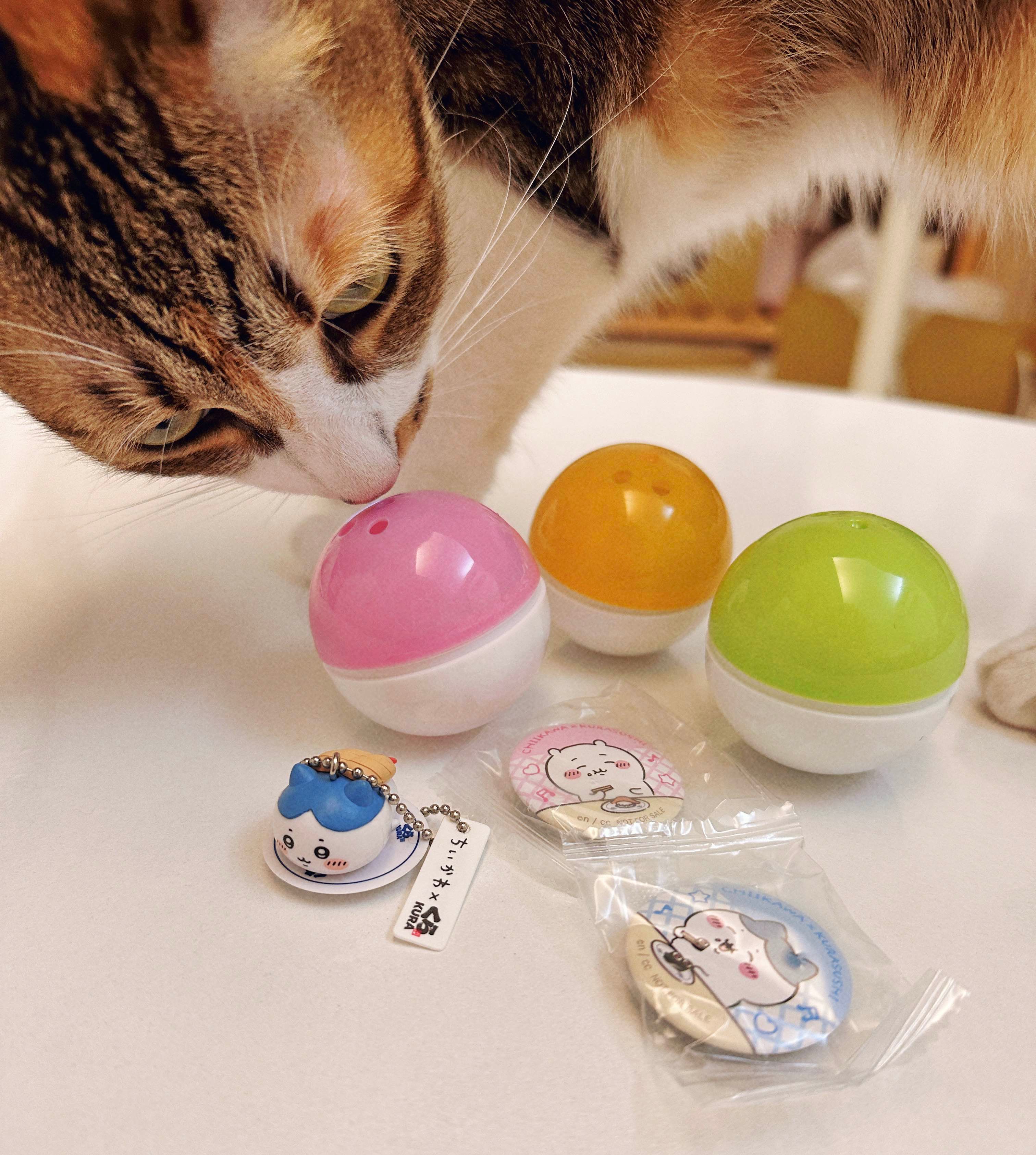 【現貨】換物用