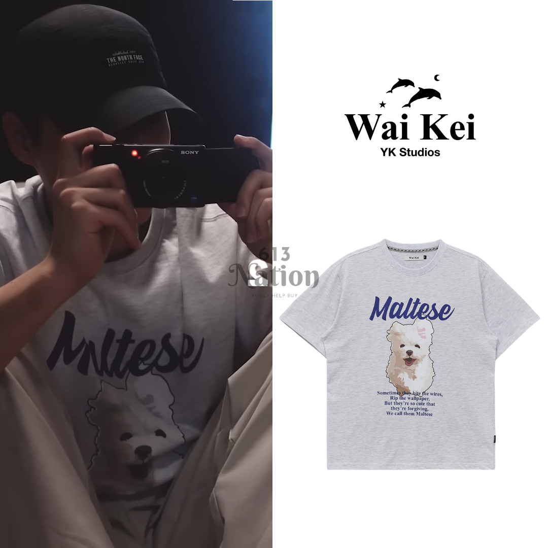 [DAY6] YOUNG K同款GOOREUM illustration half Sleeve T-shirt
