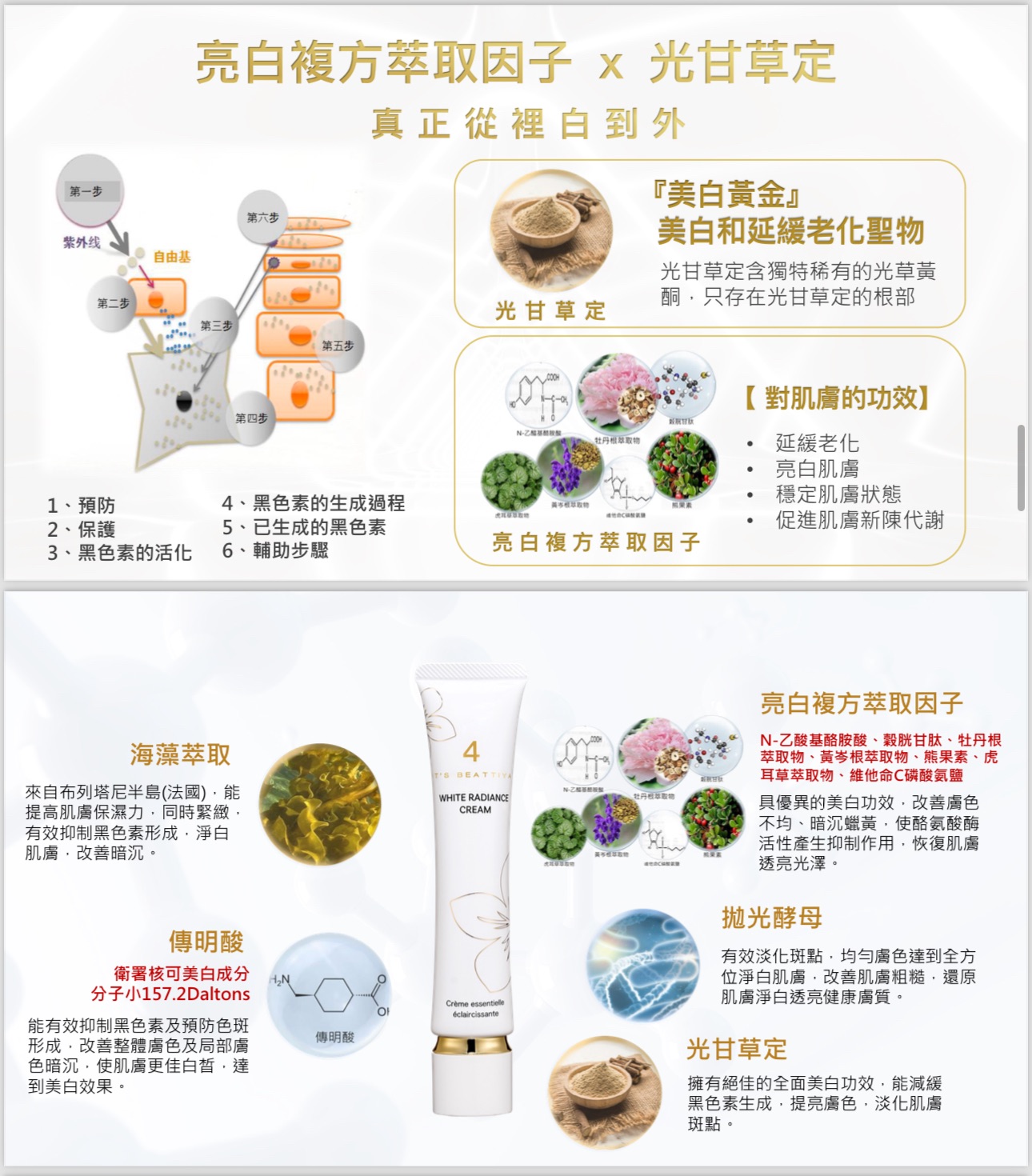 臻白乳液