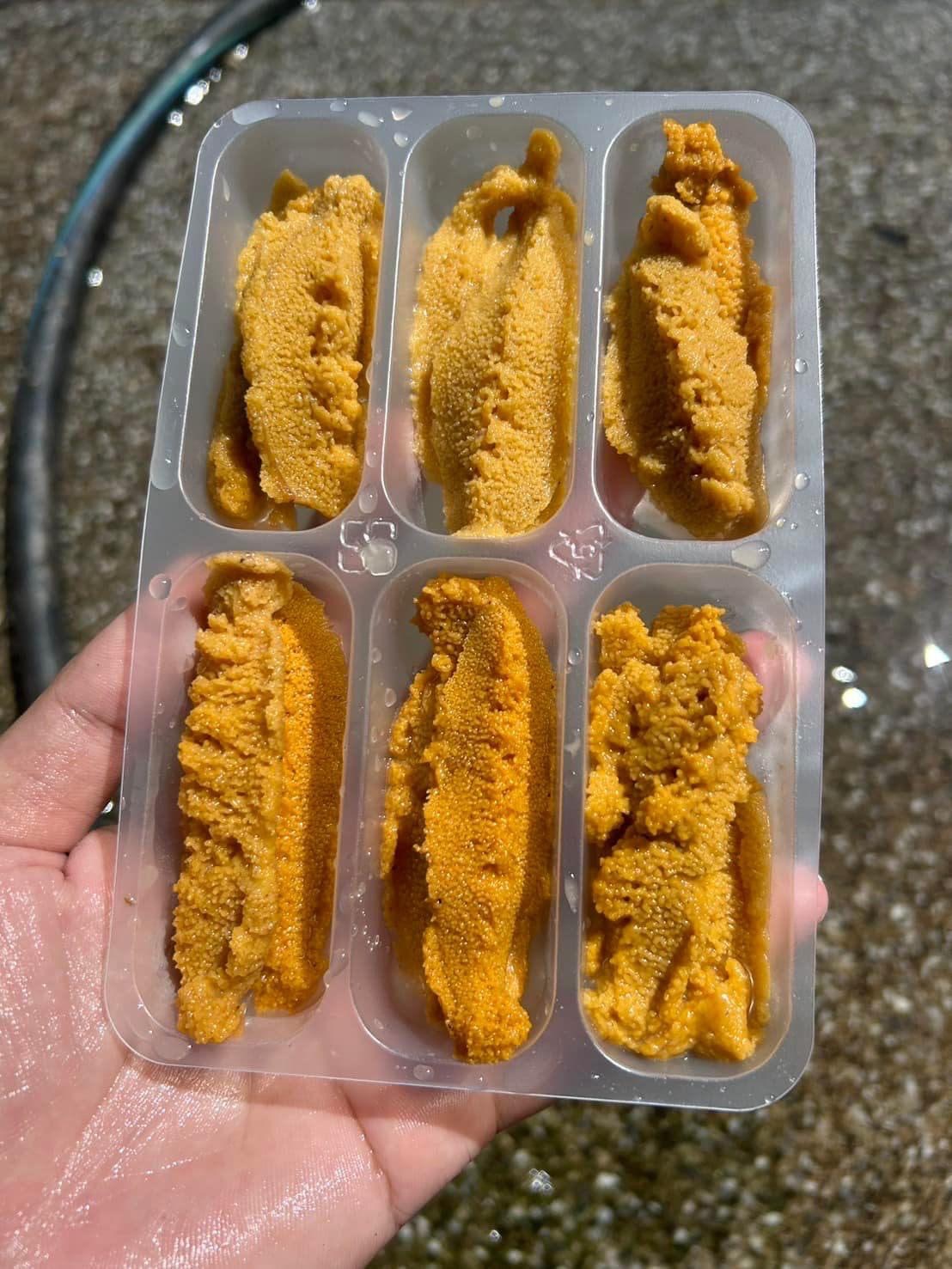 （期間限定）頂級澎湖馬糞海膽生食盒