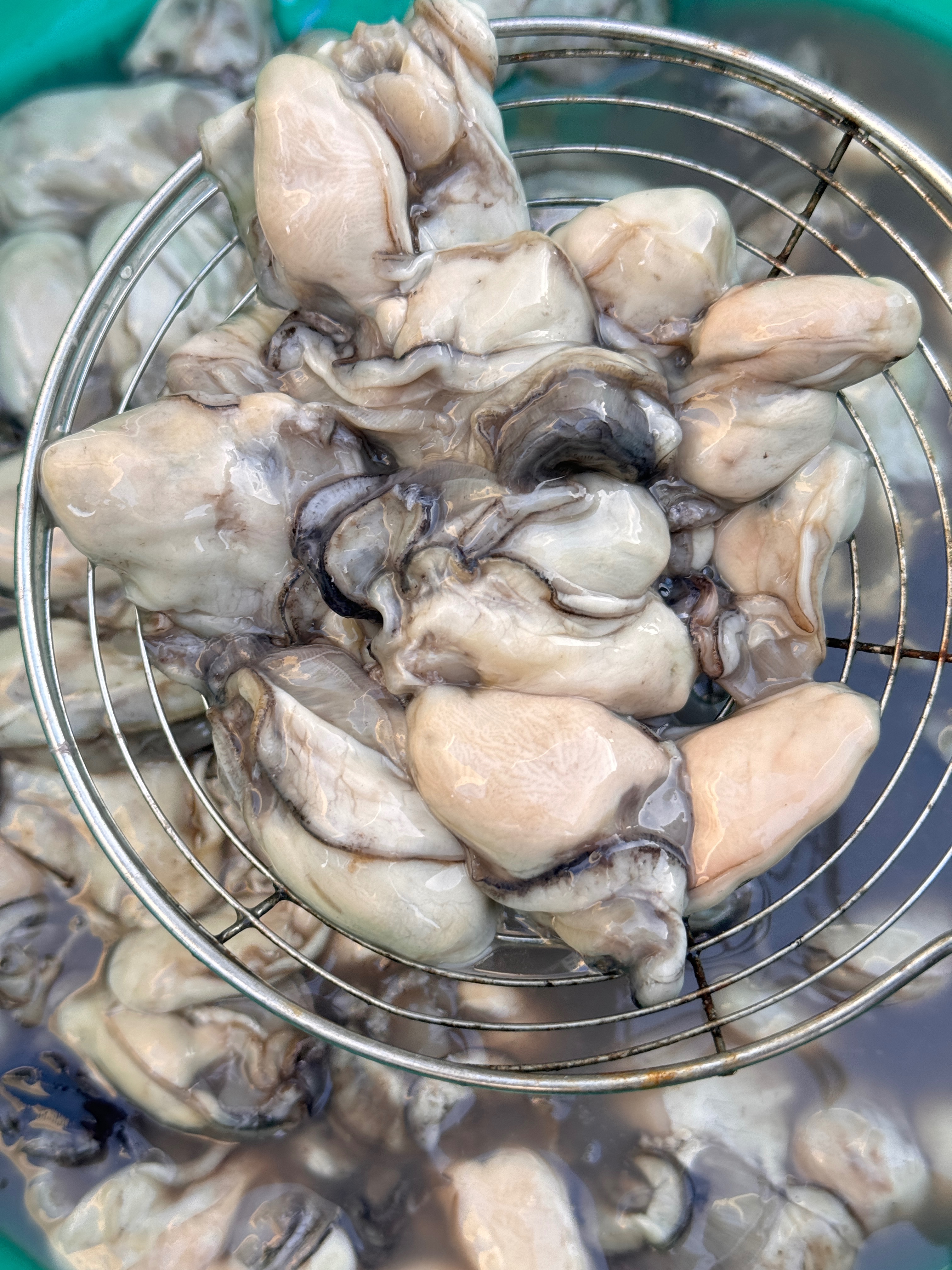 澎湖現剖牡蠣肉