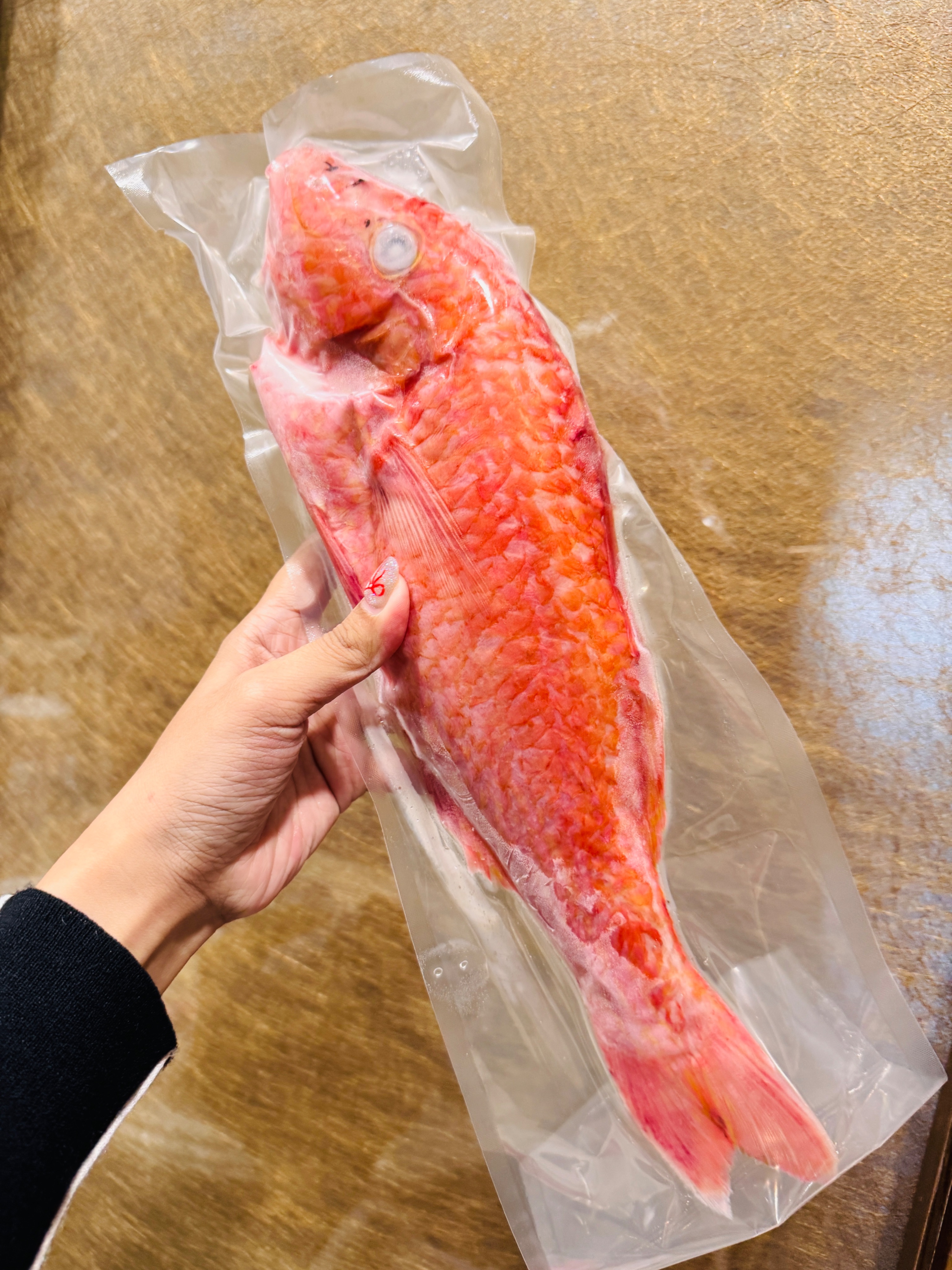 野生秋姑魚