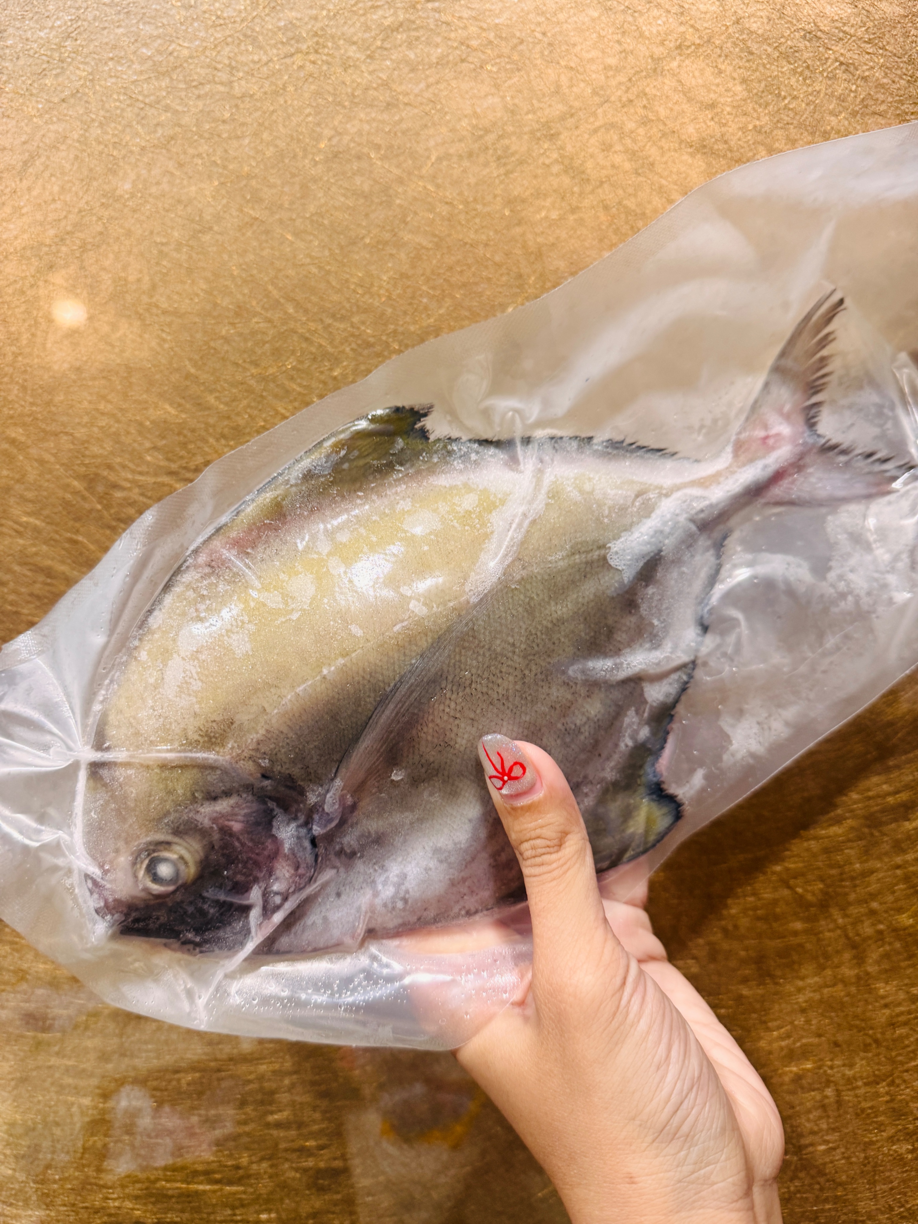 澎湖野生黑鯧魚