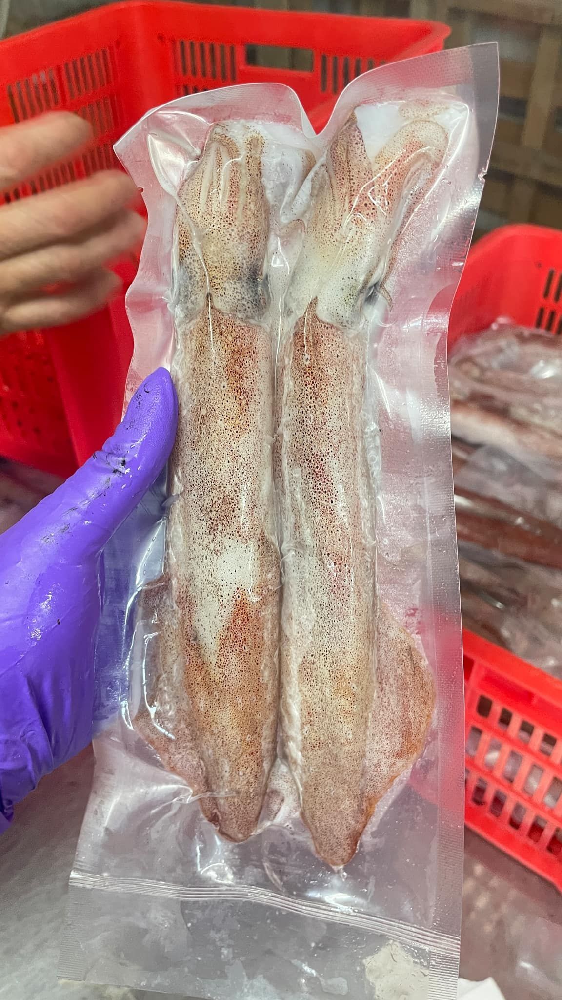嚴選活凍生卷