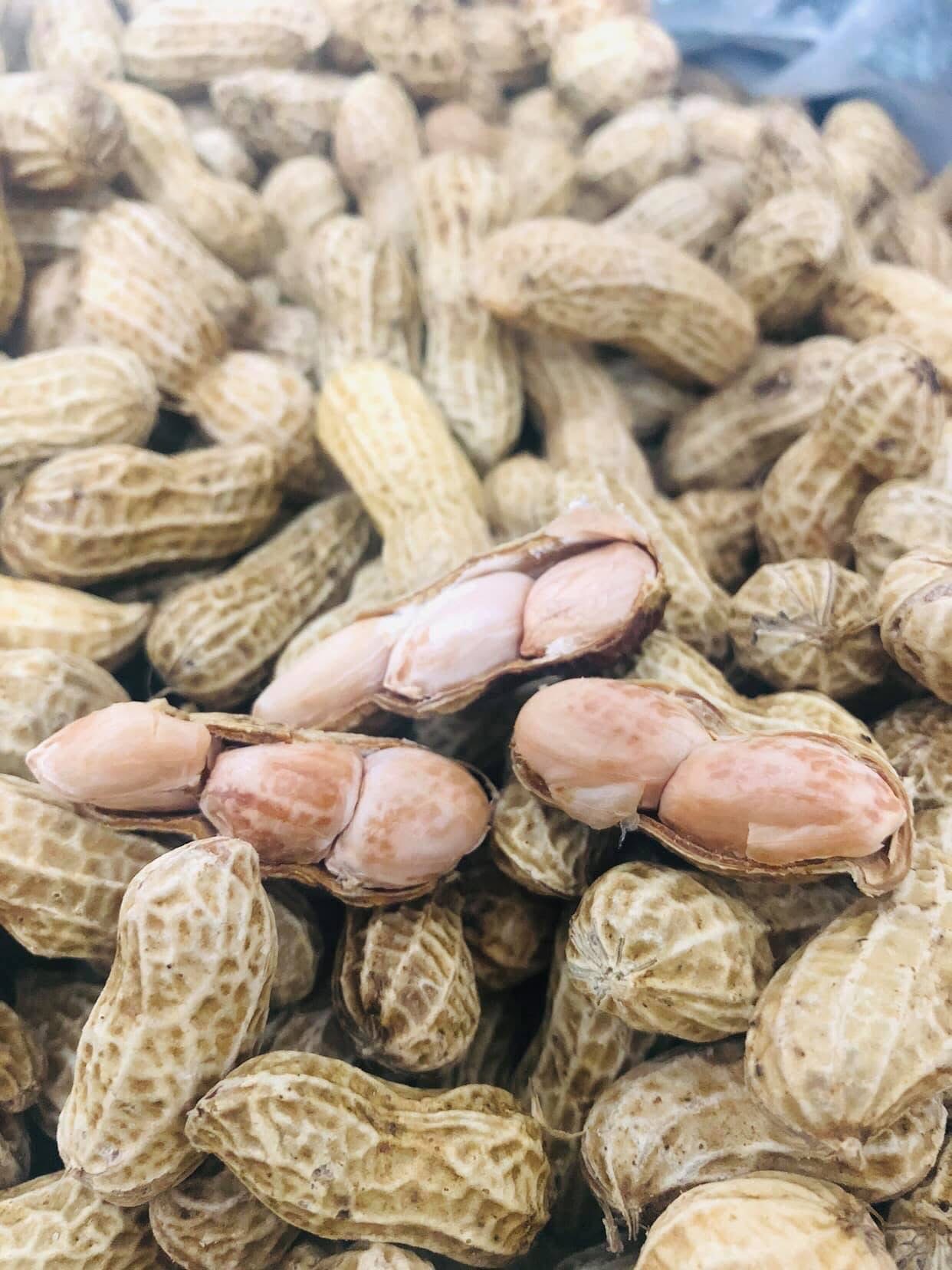 澎湖軟糯白膜花生