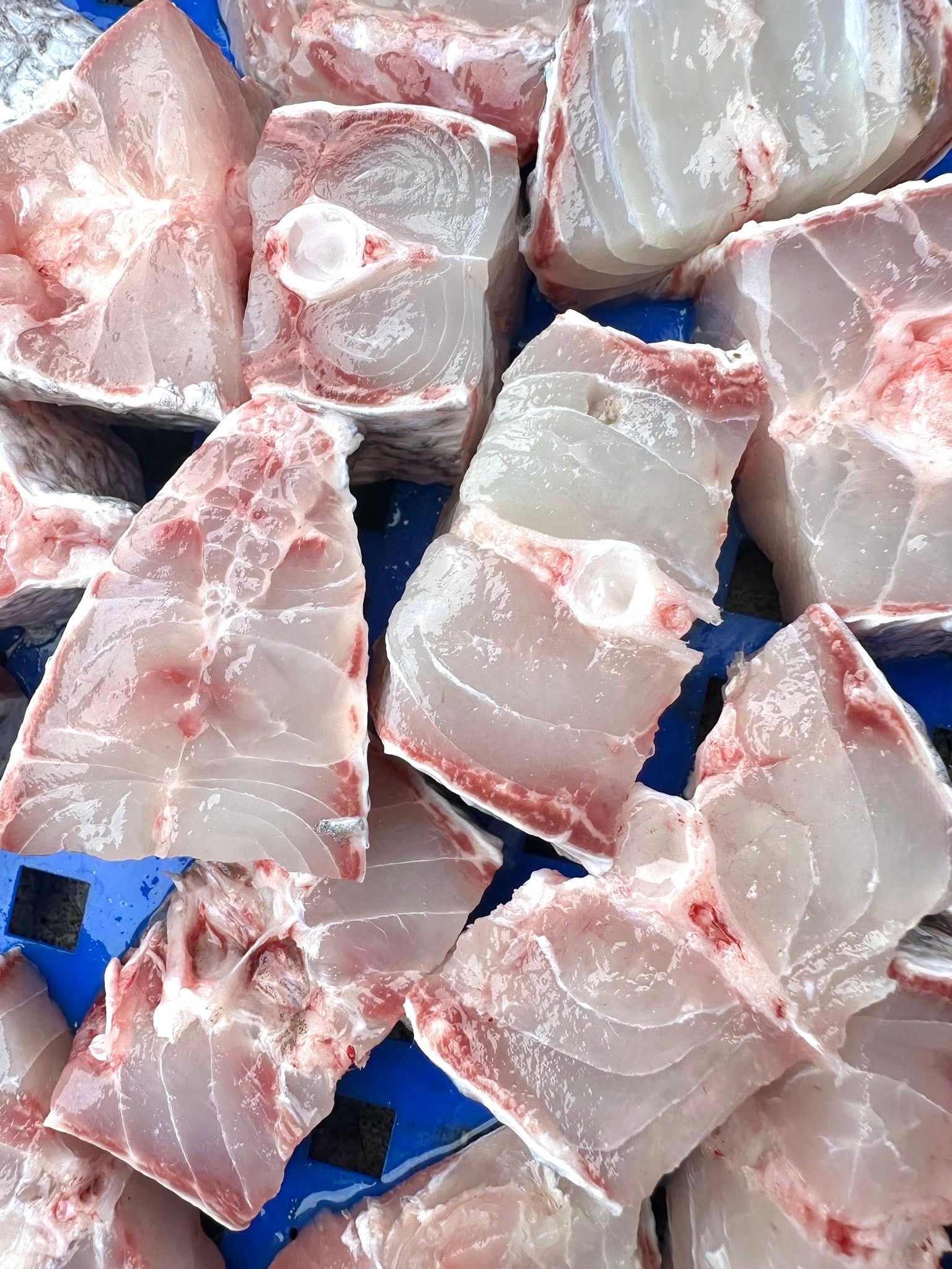 嘉志魚切塊（3/29後出貨）