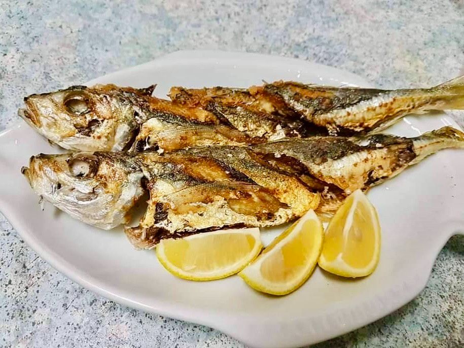 澎湖野生竹筴魚