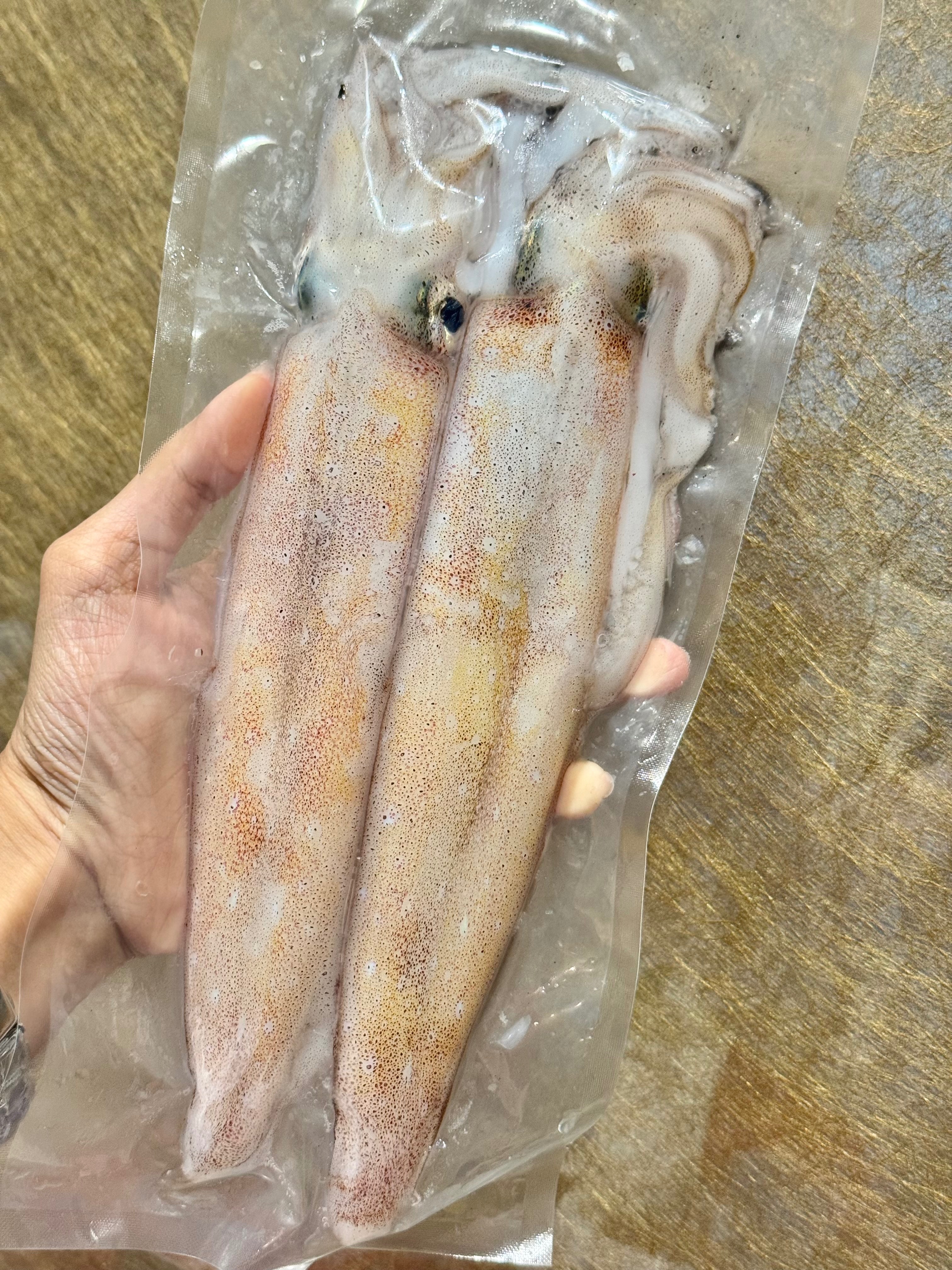 手釣生食級小卷