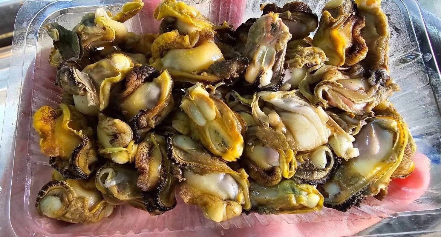 青蛤（生蚶）退冰即食