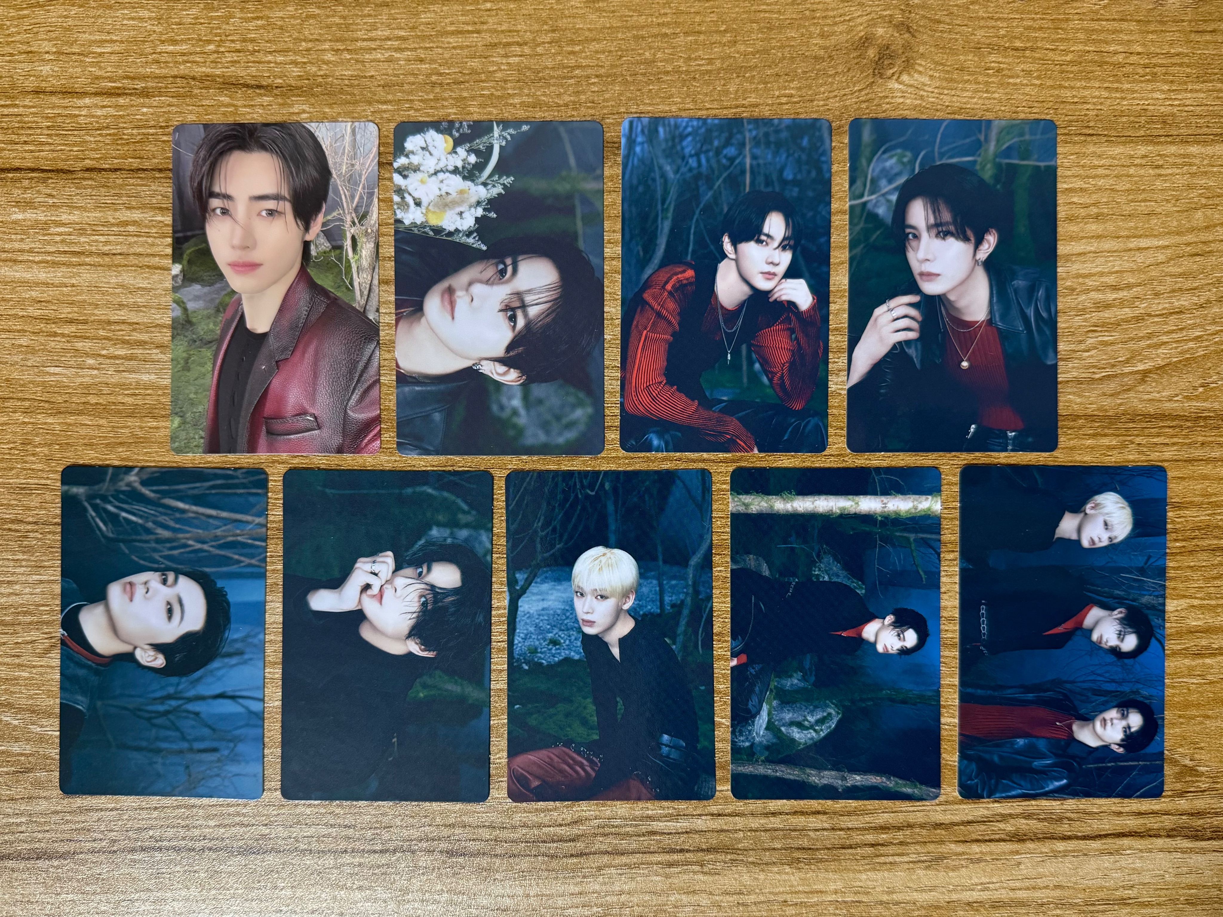 WTL卡包（已拆封）