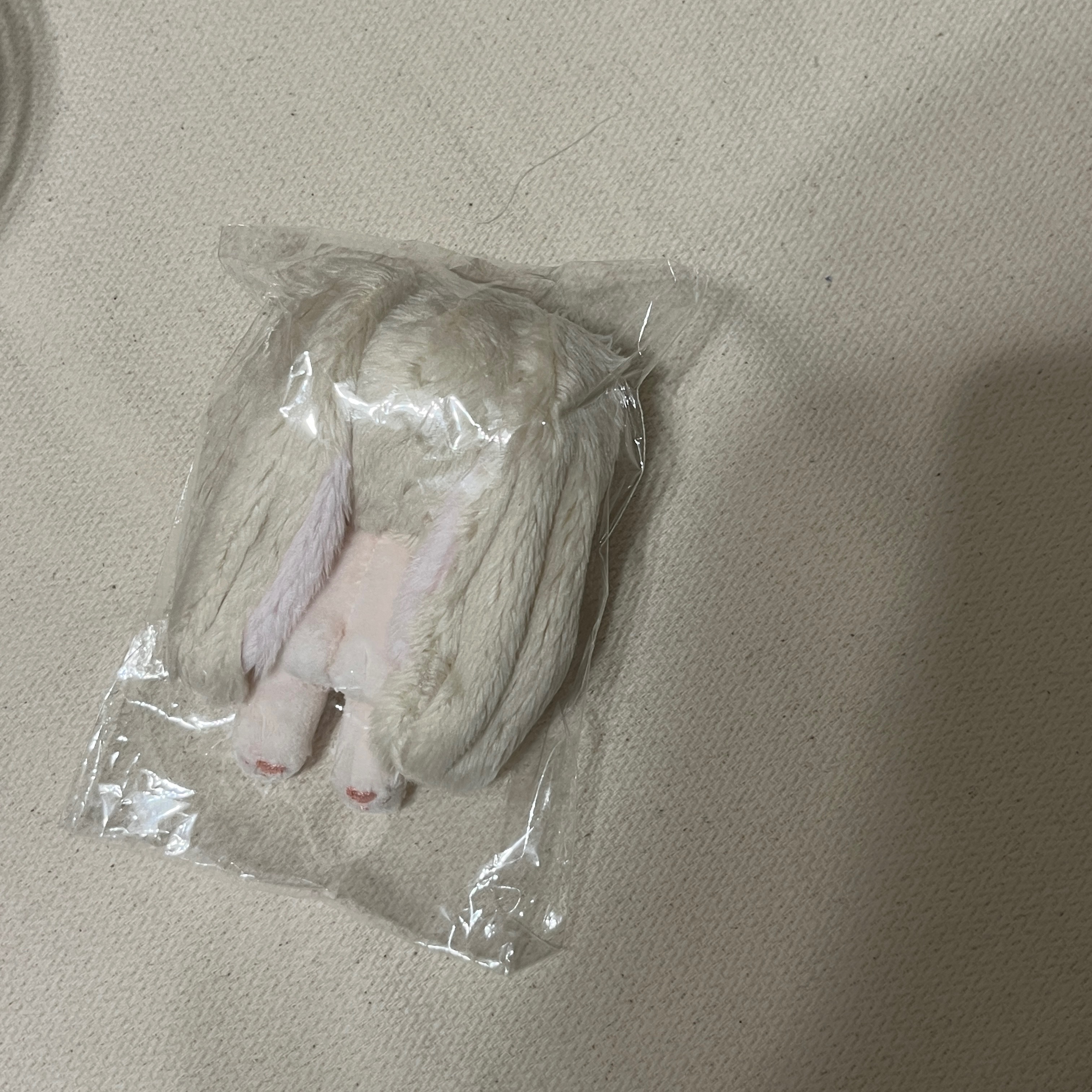 5cm專區