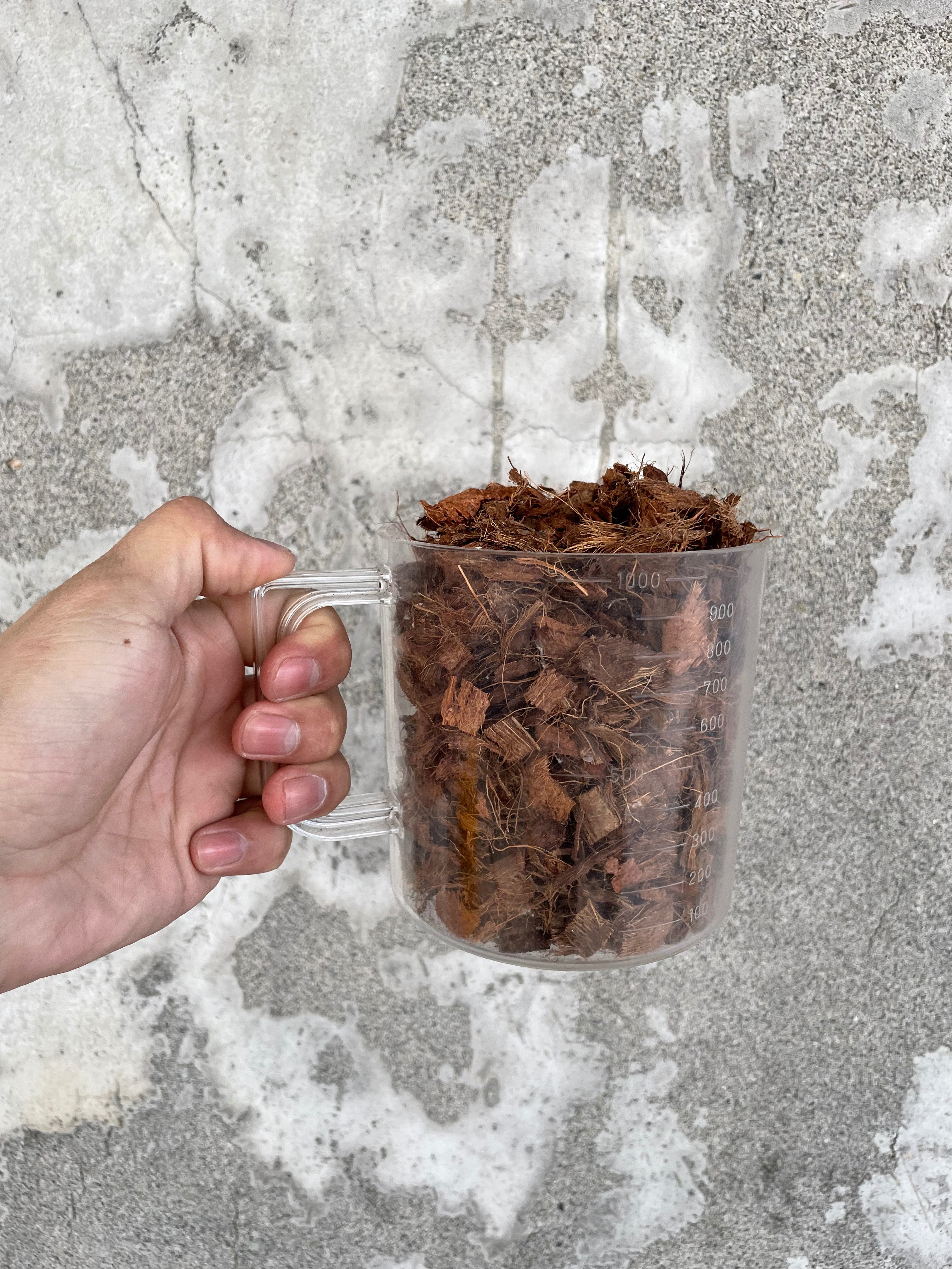 貓貓啃地 透氣椰殼塊