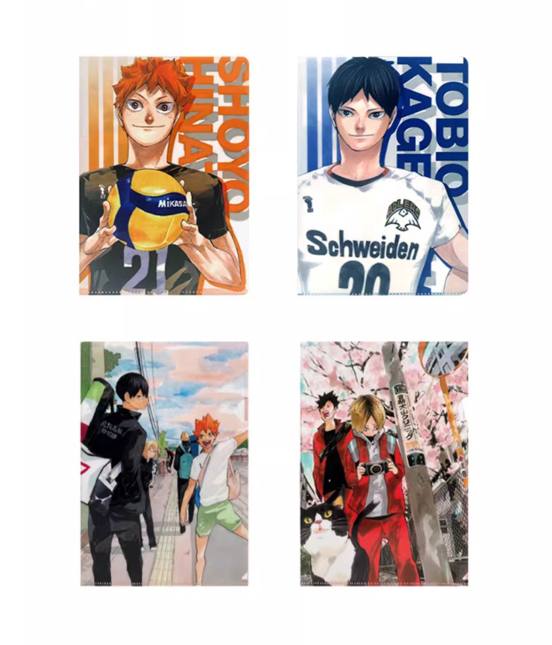 現貨 排球少年 彩圖 A4 Ｌ資料夾