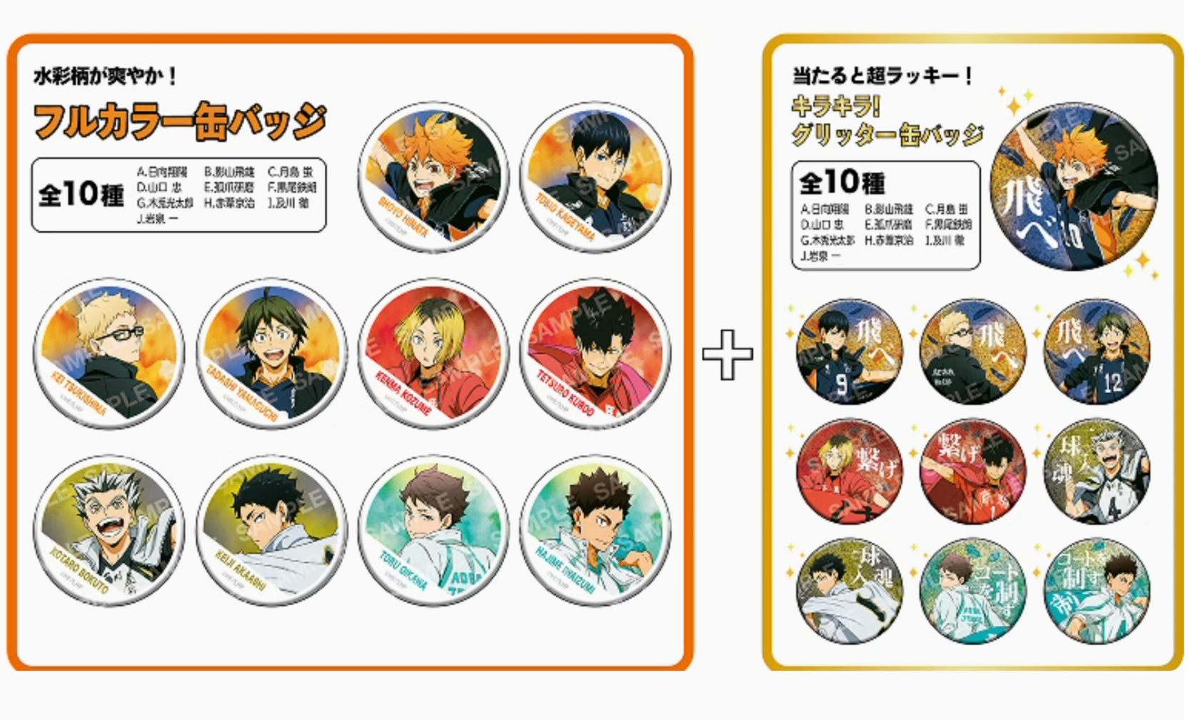 現貨 排球少年 隊旗徽章