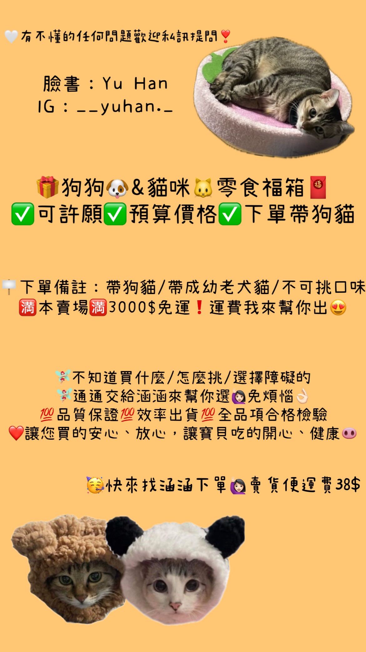 🐶🐱狗貓福箱🧧不知道買什麼/怎麼挑 我幫你配🎁