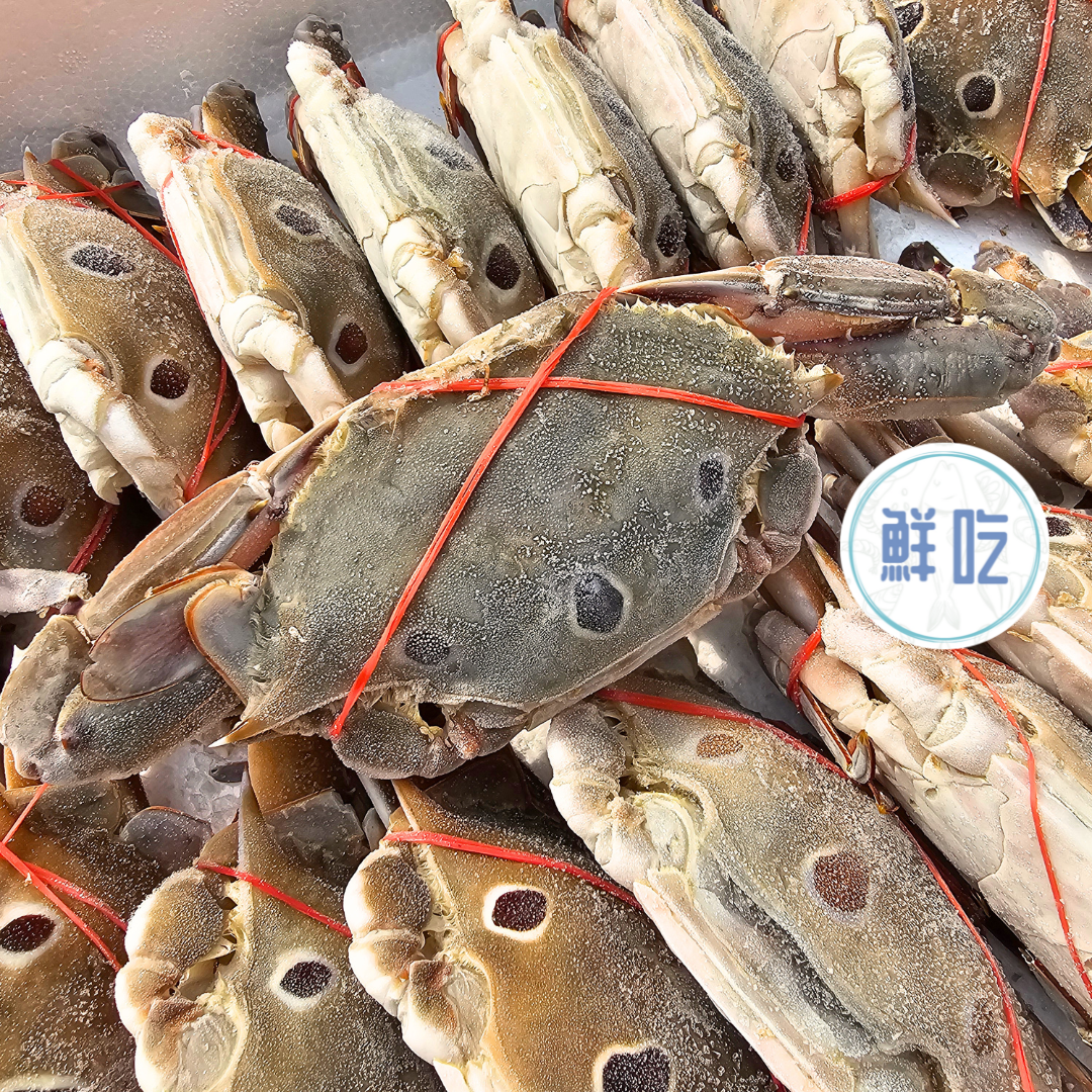 鮮甜活凍螃蟹公