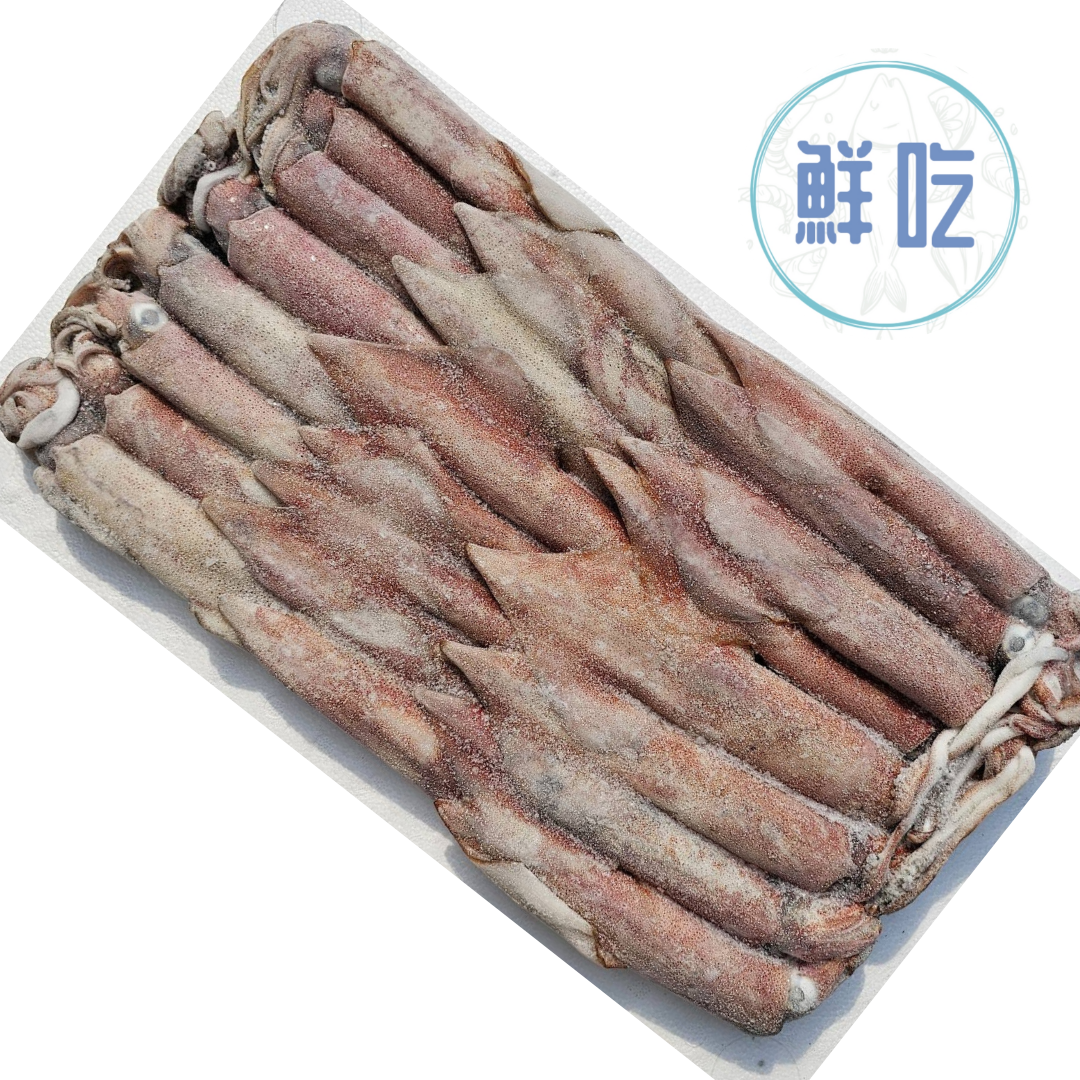 透抽 8隻/ 炒菜用 三杯 川燙 （大隻肉厚）