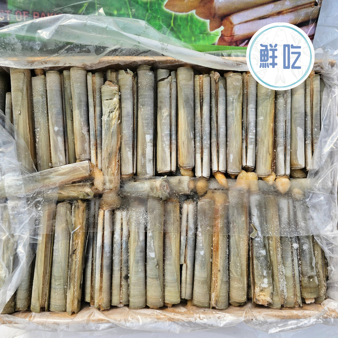 活凍竹蛤 稀有超爆大 10-12CM 1kg 竹蟶 竹蚶