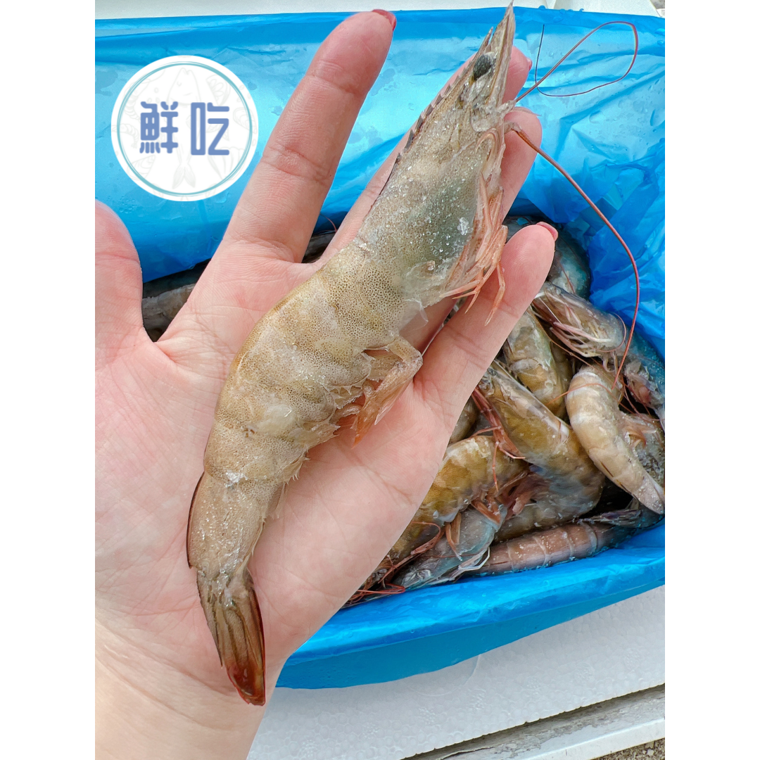 40/50 蝦子 白蝦 鮮甜 過年必備