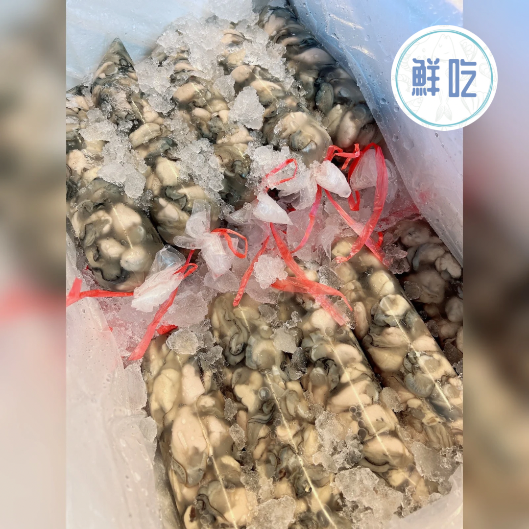 鮮蚵（無泡水）一斤重