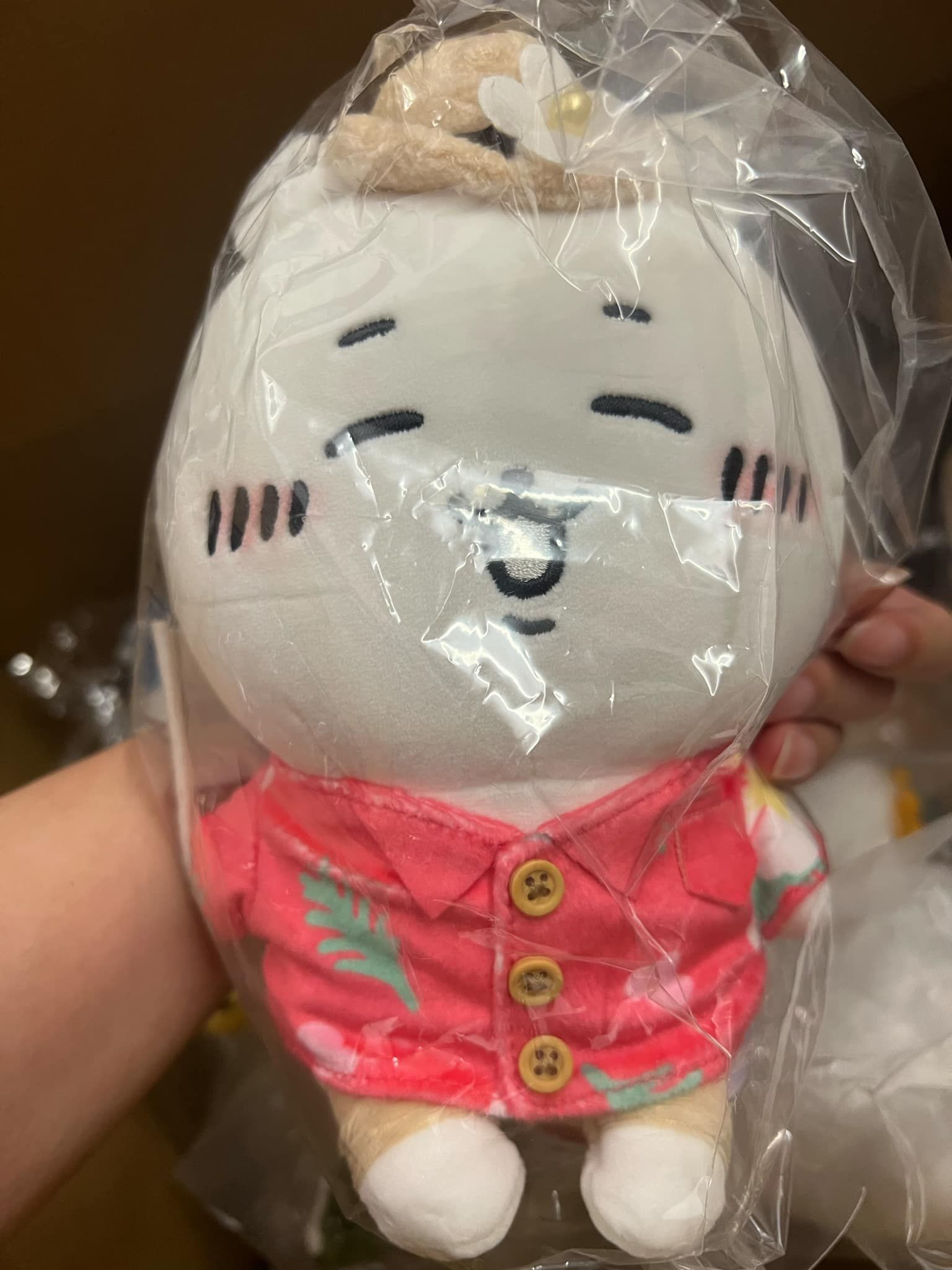 度假 s娃