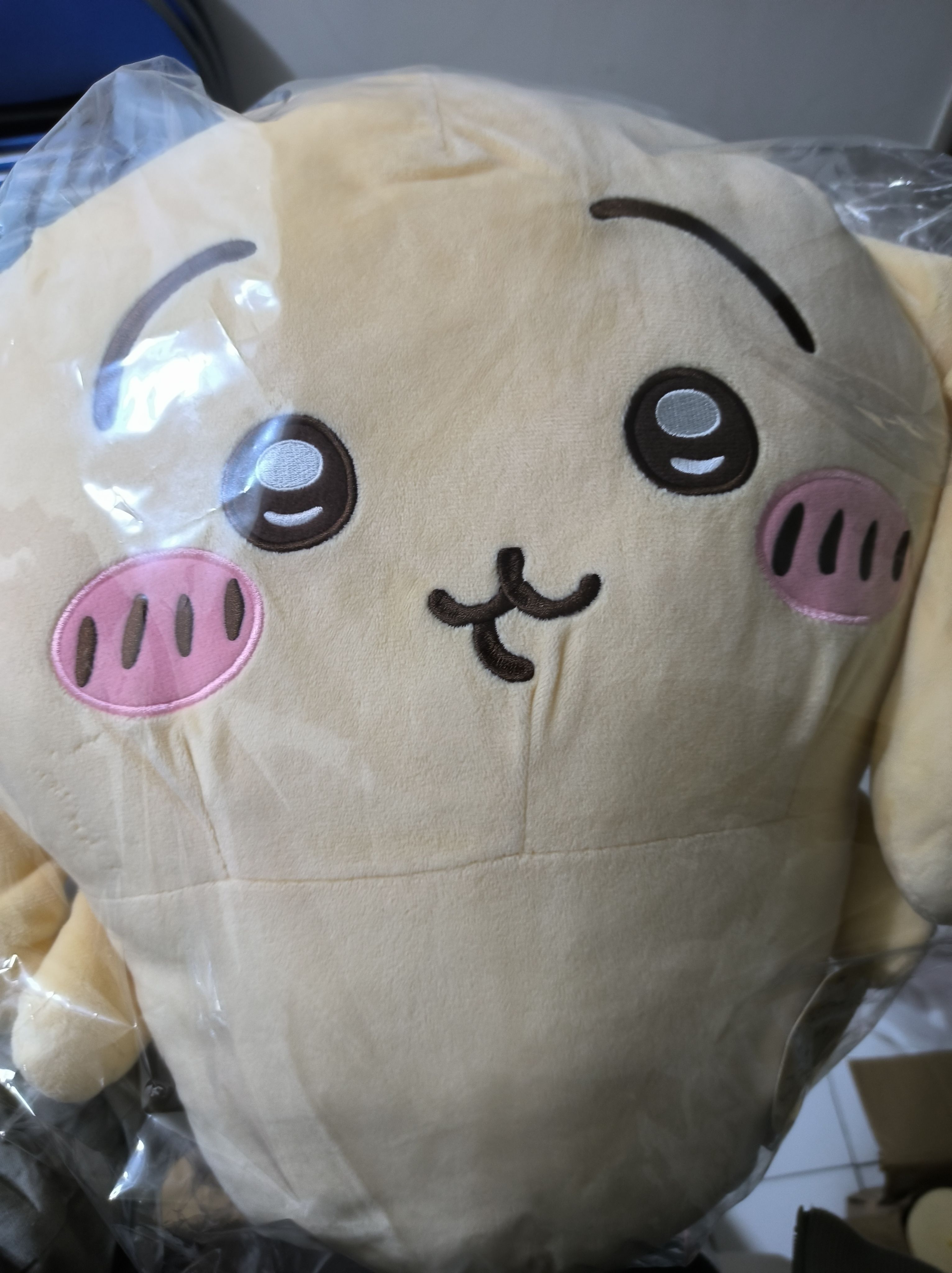 垂耳兔45cm　全新
