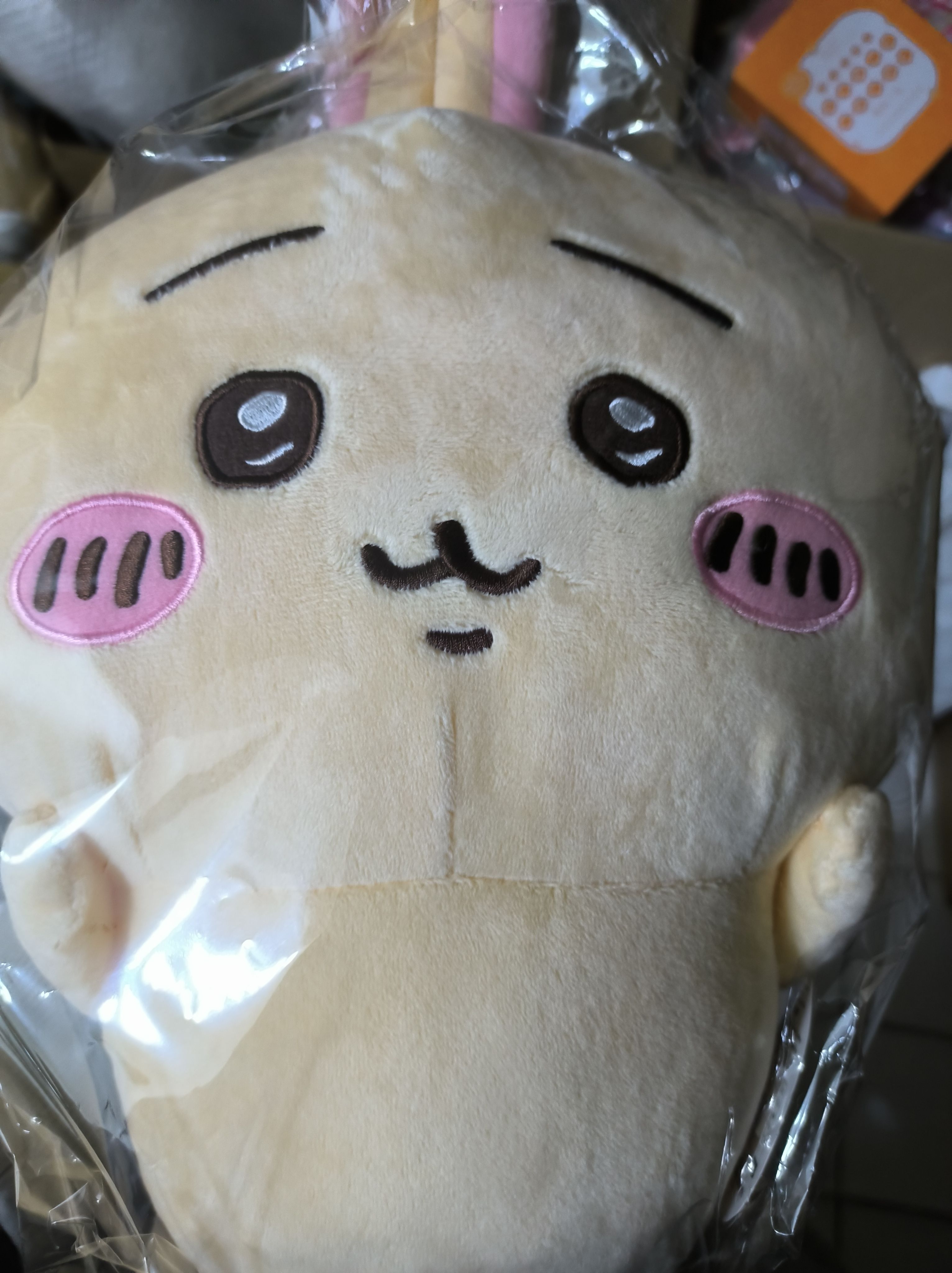 交換靈魂兔　有吊牌