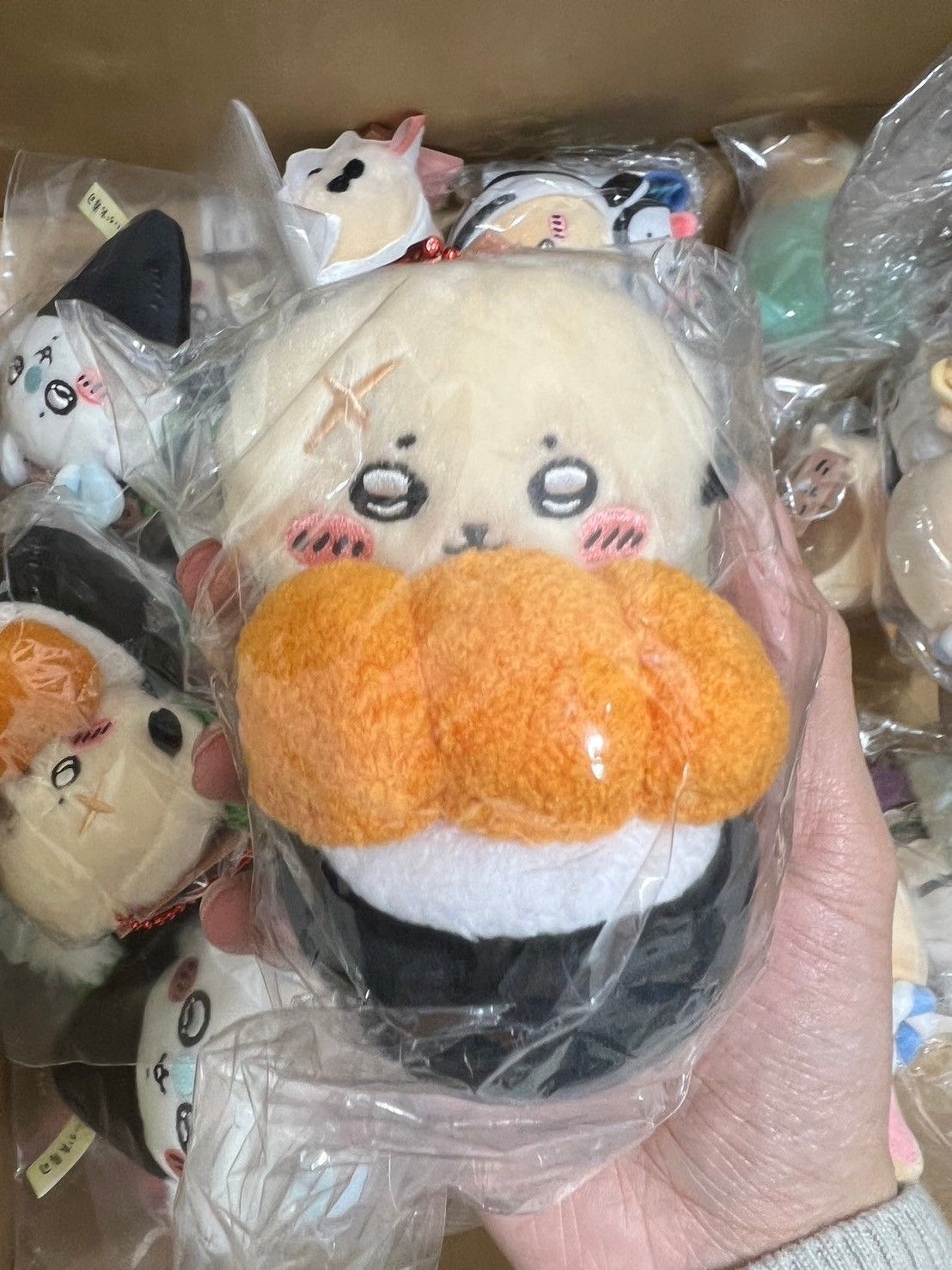 海膽師傅 全新