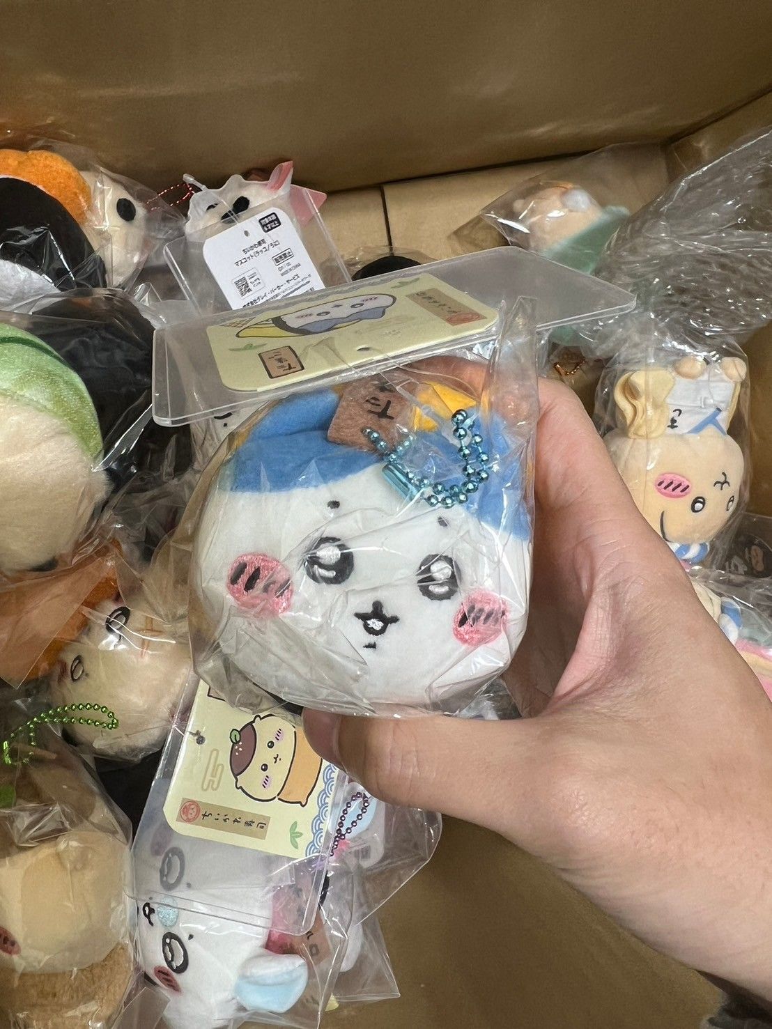 玉子燒八 全新
