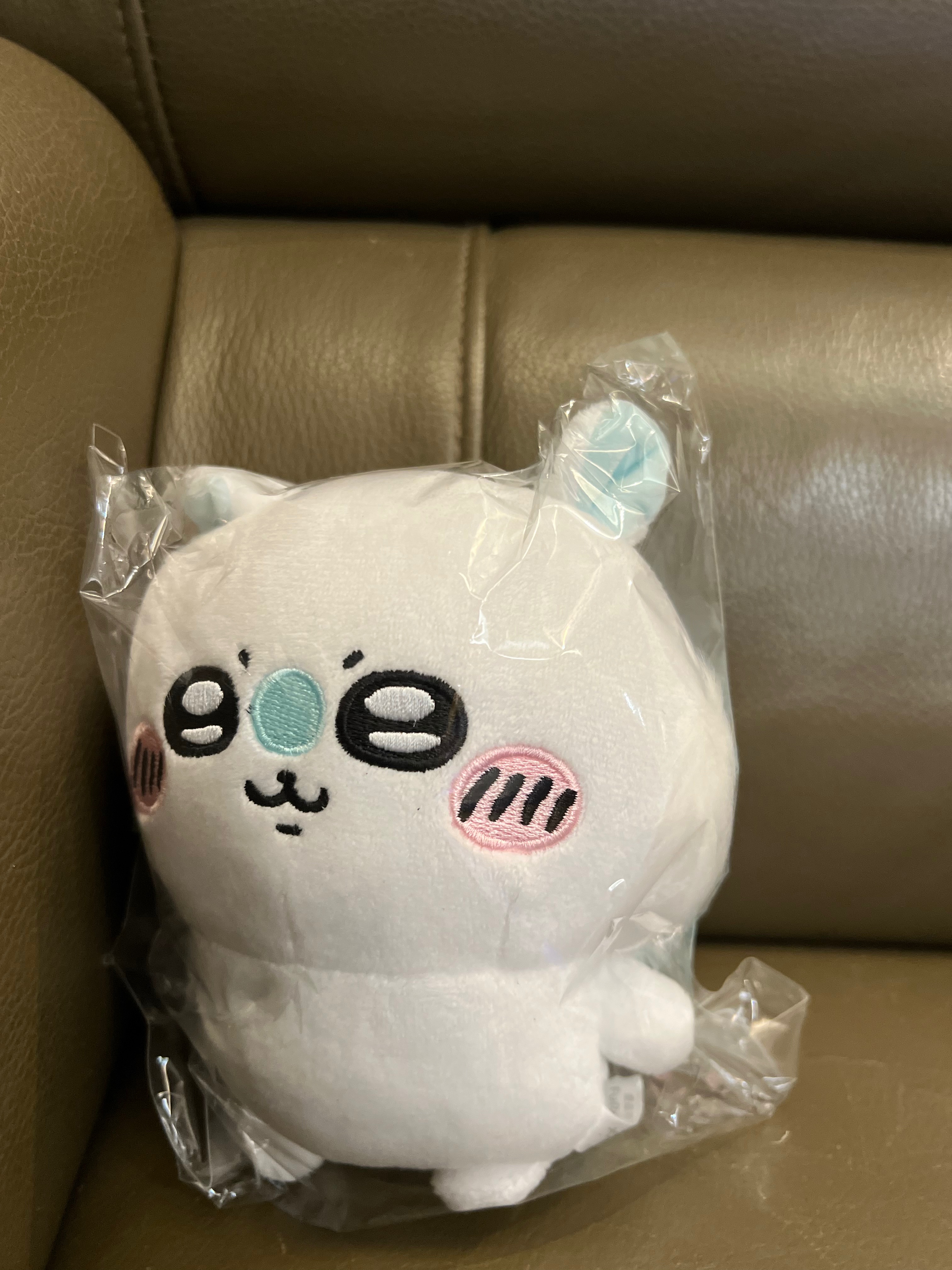 採集小桃