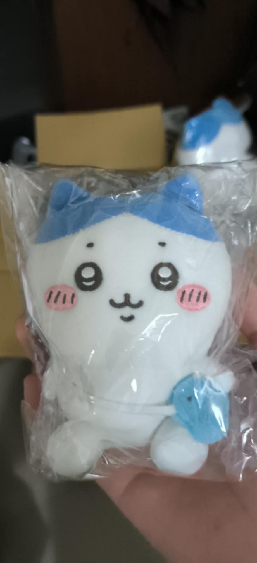 出遊小八S全新