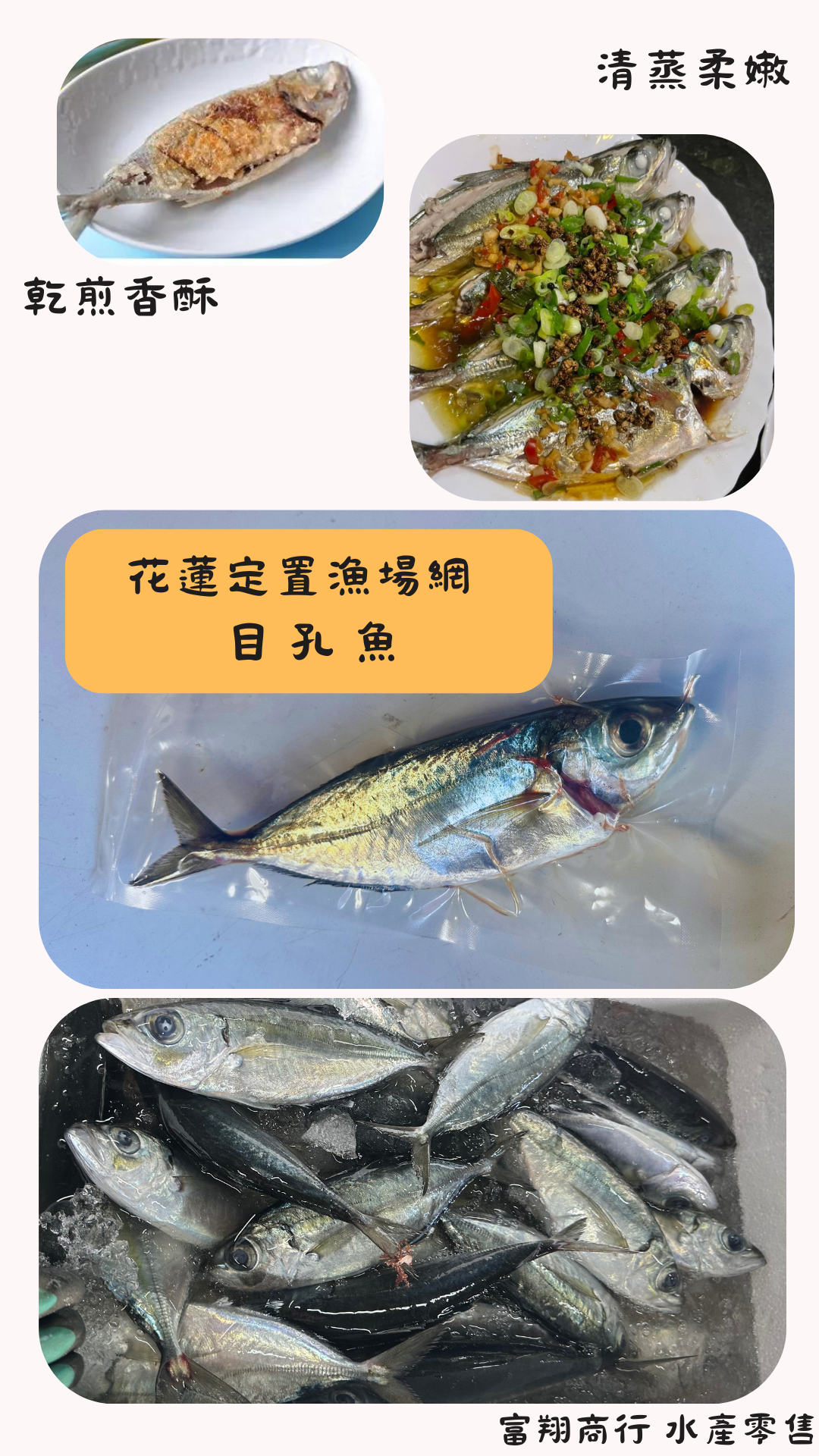 🐟超肥目孔魚🐟_花蓮本港魚，現殺真空