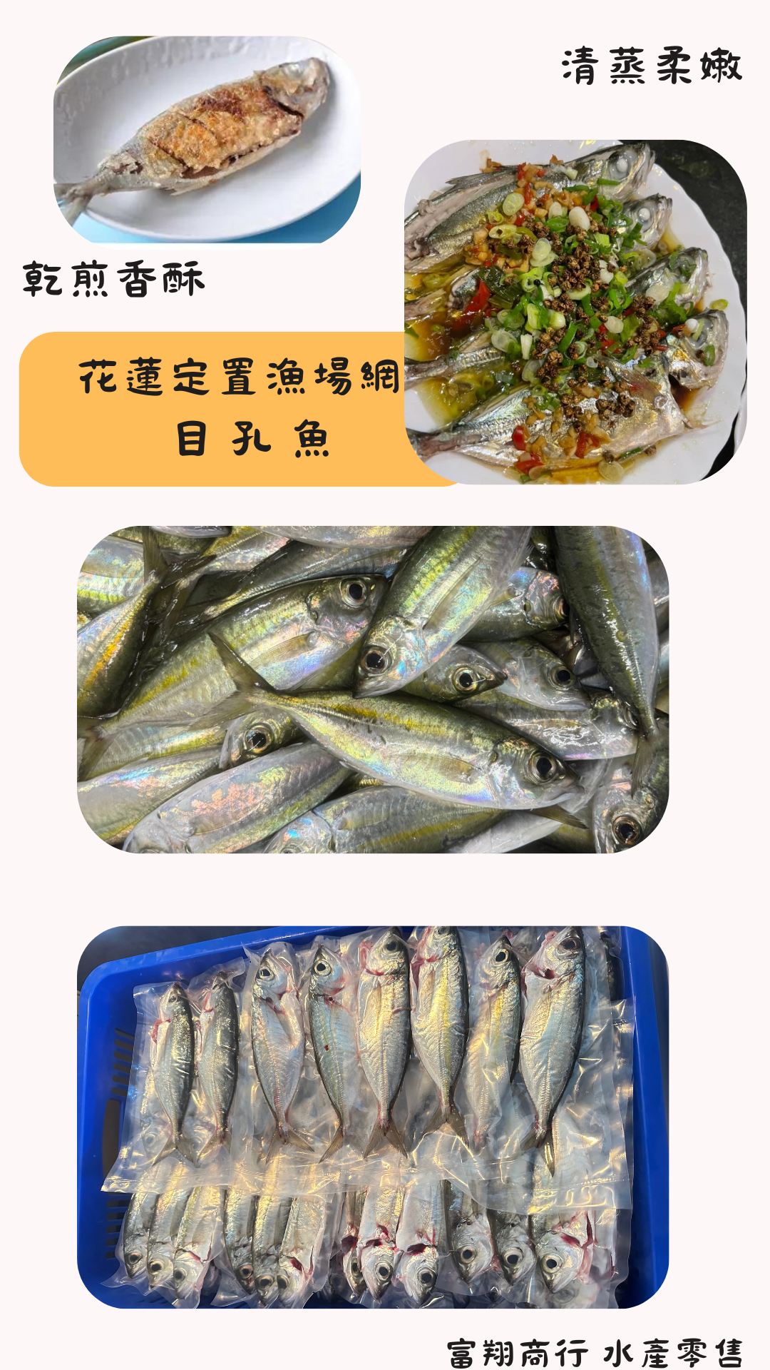 🐟超肥目孔魚🐟_花蓮本港魚，現殺真空