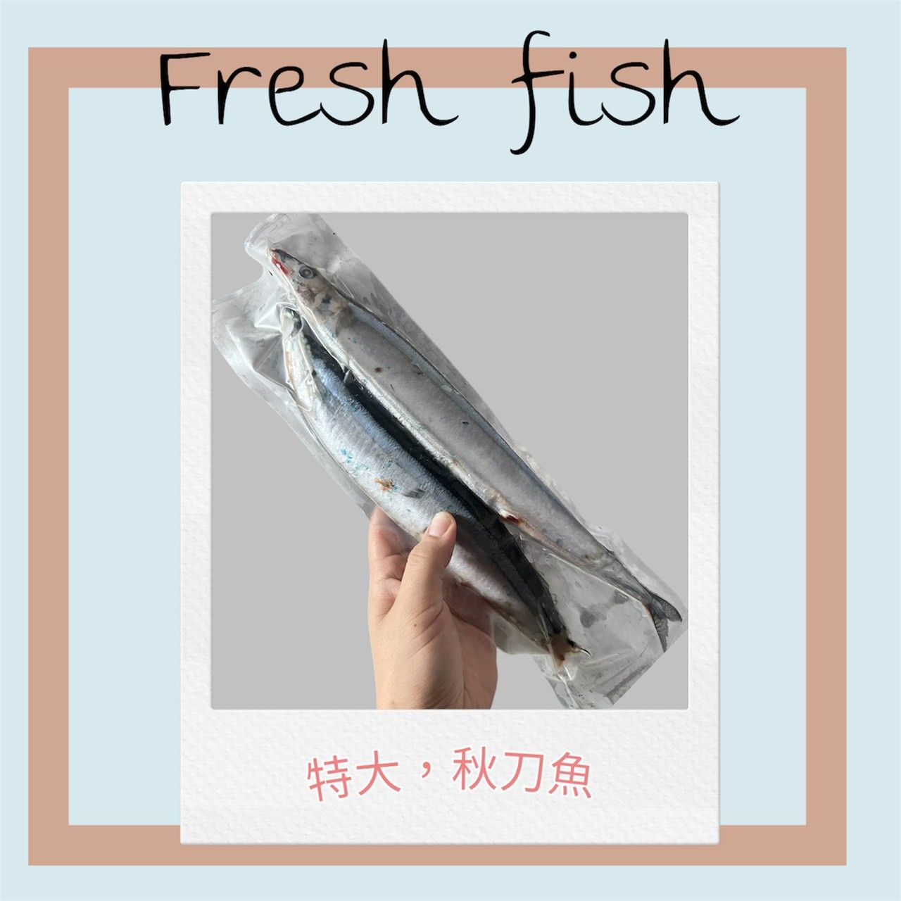特大尾~秋刀魚2尾裝