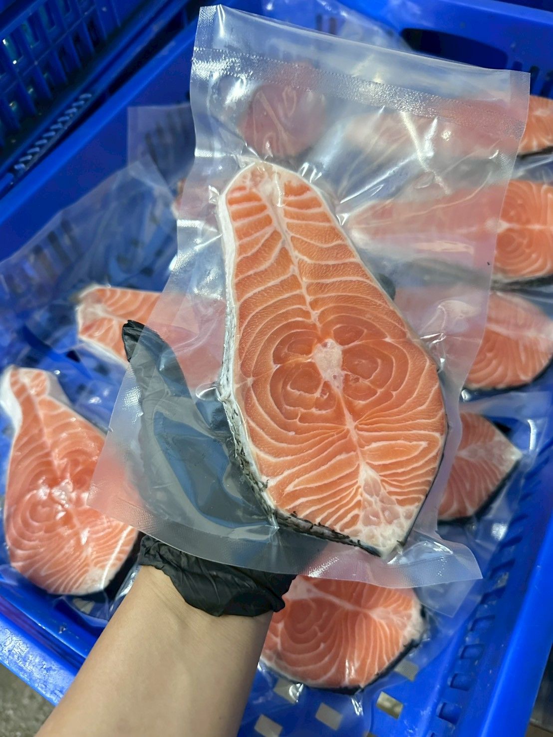 空運挪威鮭魚輪切魚片