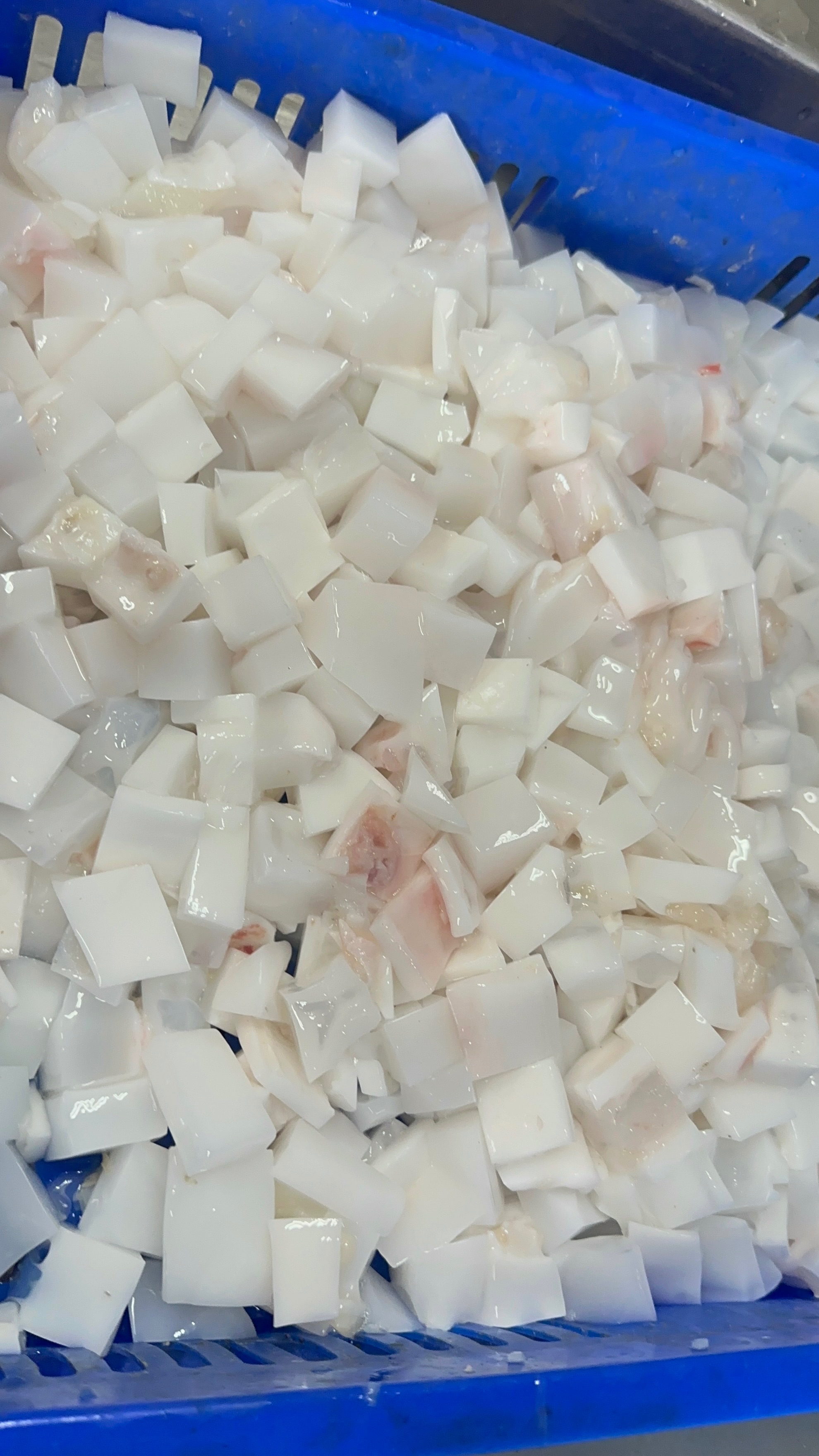 野生現撈Q嫩曼波魚皮（純皮）