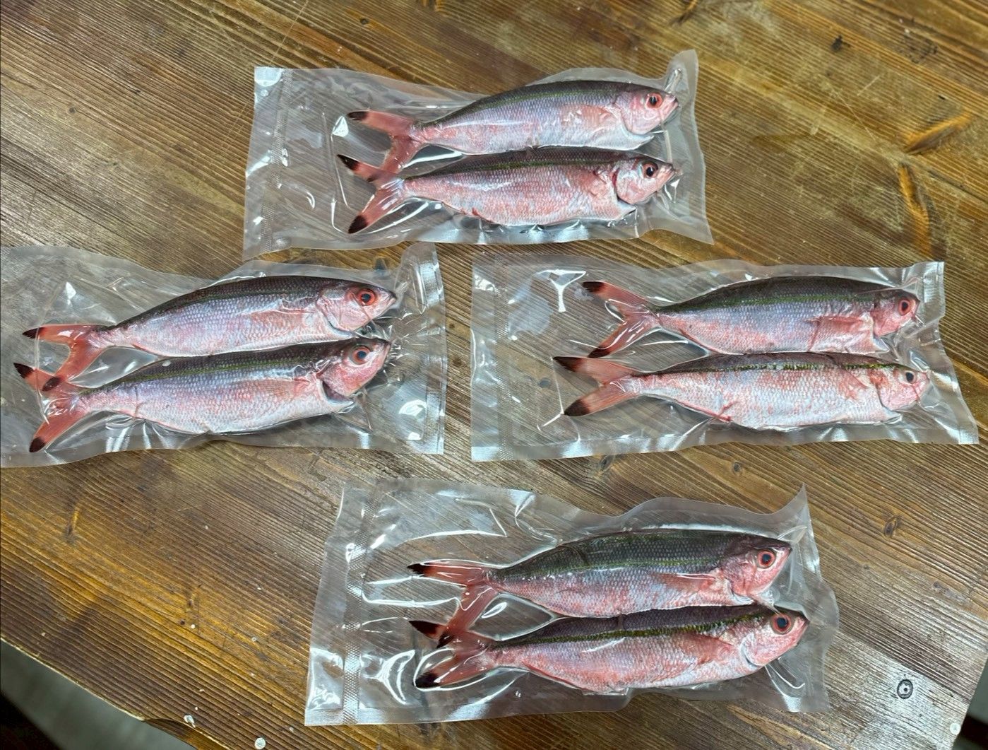 🐟 現撈定置網烏尾冬｜限量上岸