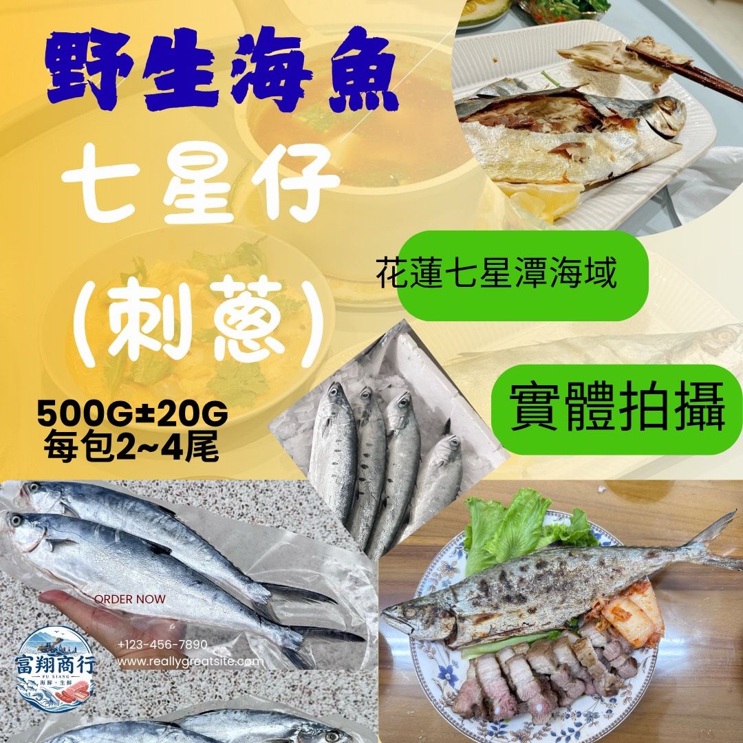 七星仔、刺蔥（澎湖）