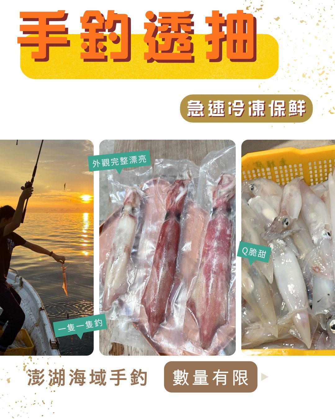 ＜目前僅此一檔＞_限量澎湖海域一隻釣透抽 🦑