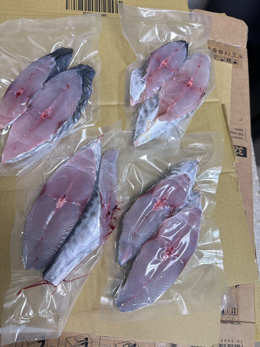 🐟 野生本港正土魠｜康氏馬加鰆