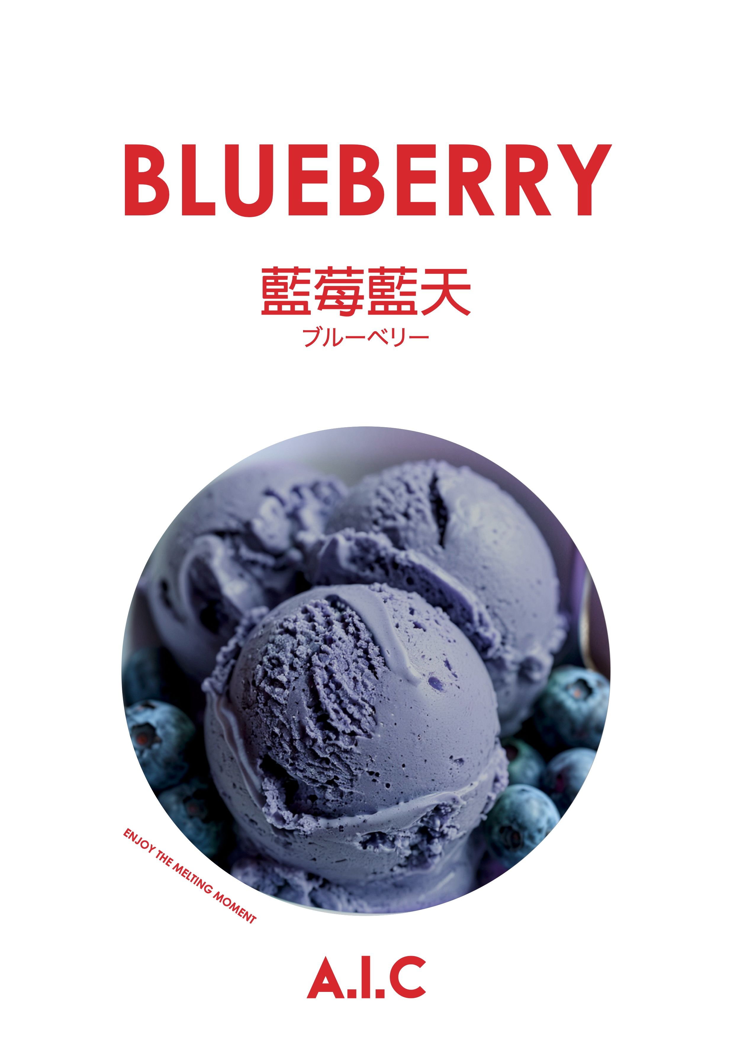 藍莓藍天 | BLUEBERRY | ブルーベリー （野生藍莓帶皮）