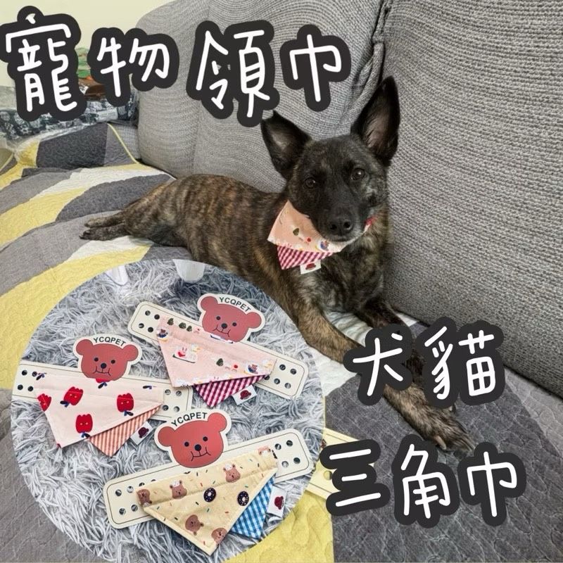 現貨 寵物領巾 寵物三角巾 狗狗領巾 貓領巾 寵物口水巾 貓咪領巾 雙面領巾 雙面口水巾 狗領巾 雙層領巾 三角巾 領巾