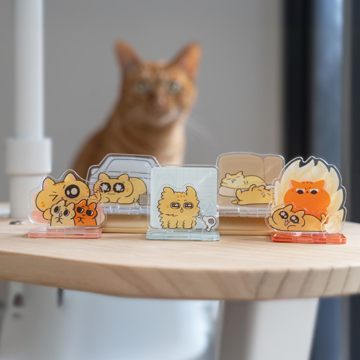 [盲抽] 薯球回家圖鑑立牌