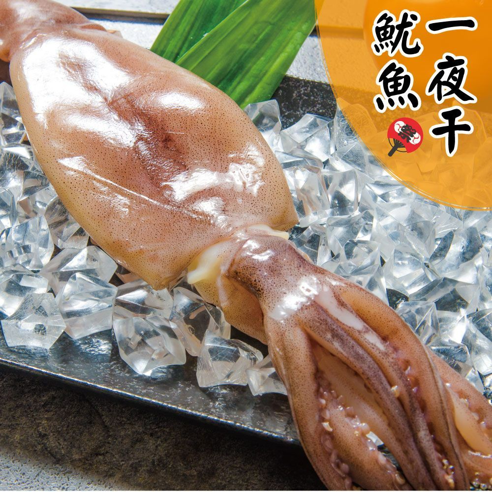 超大尾阿根廷魷魚串（260g~280g/尾）