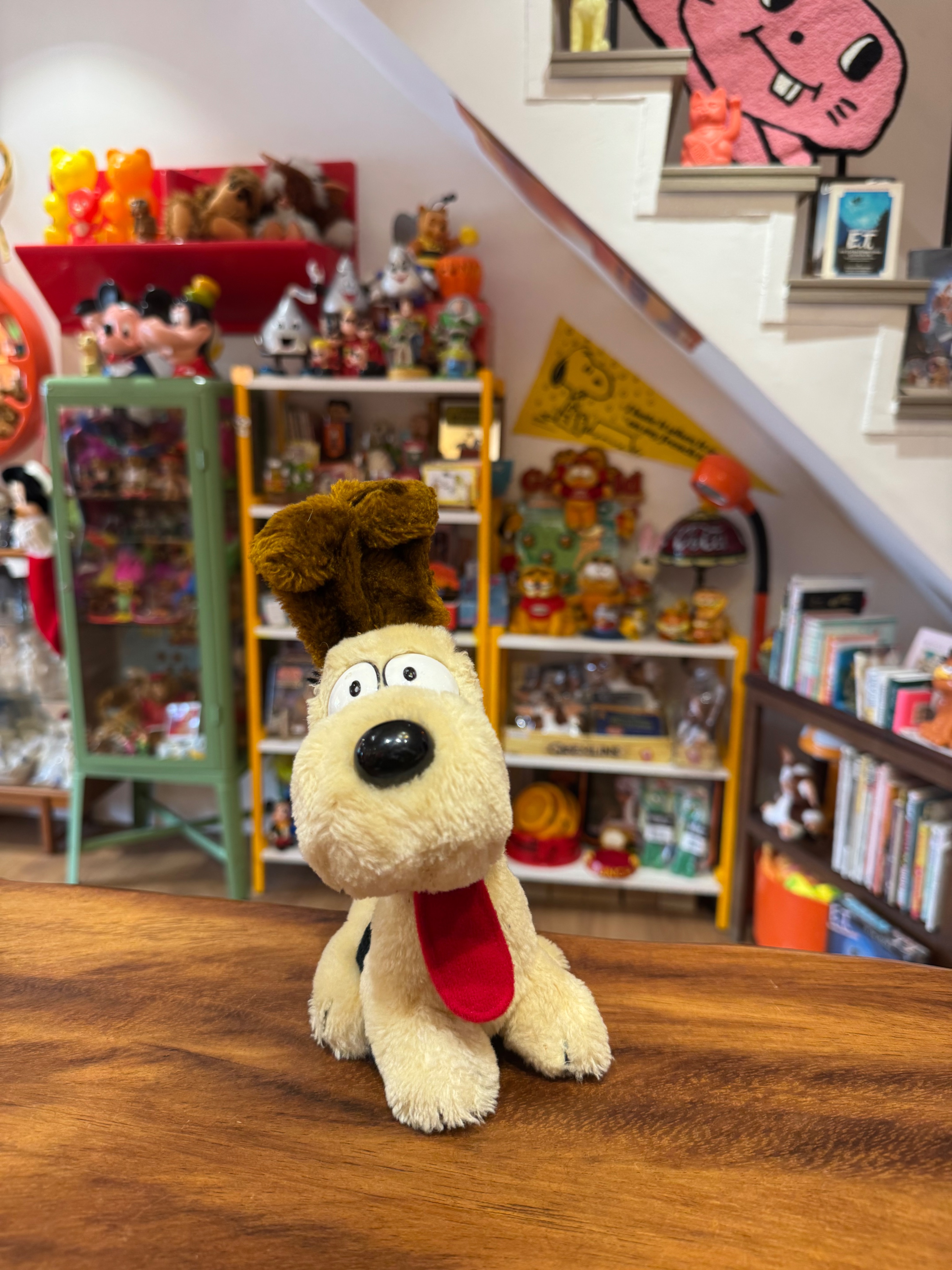 歐弟娃娃普通版 請先確認商品狀況再下單謝謝