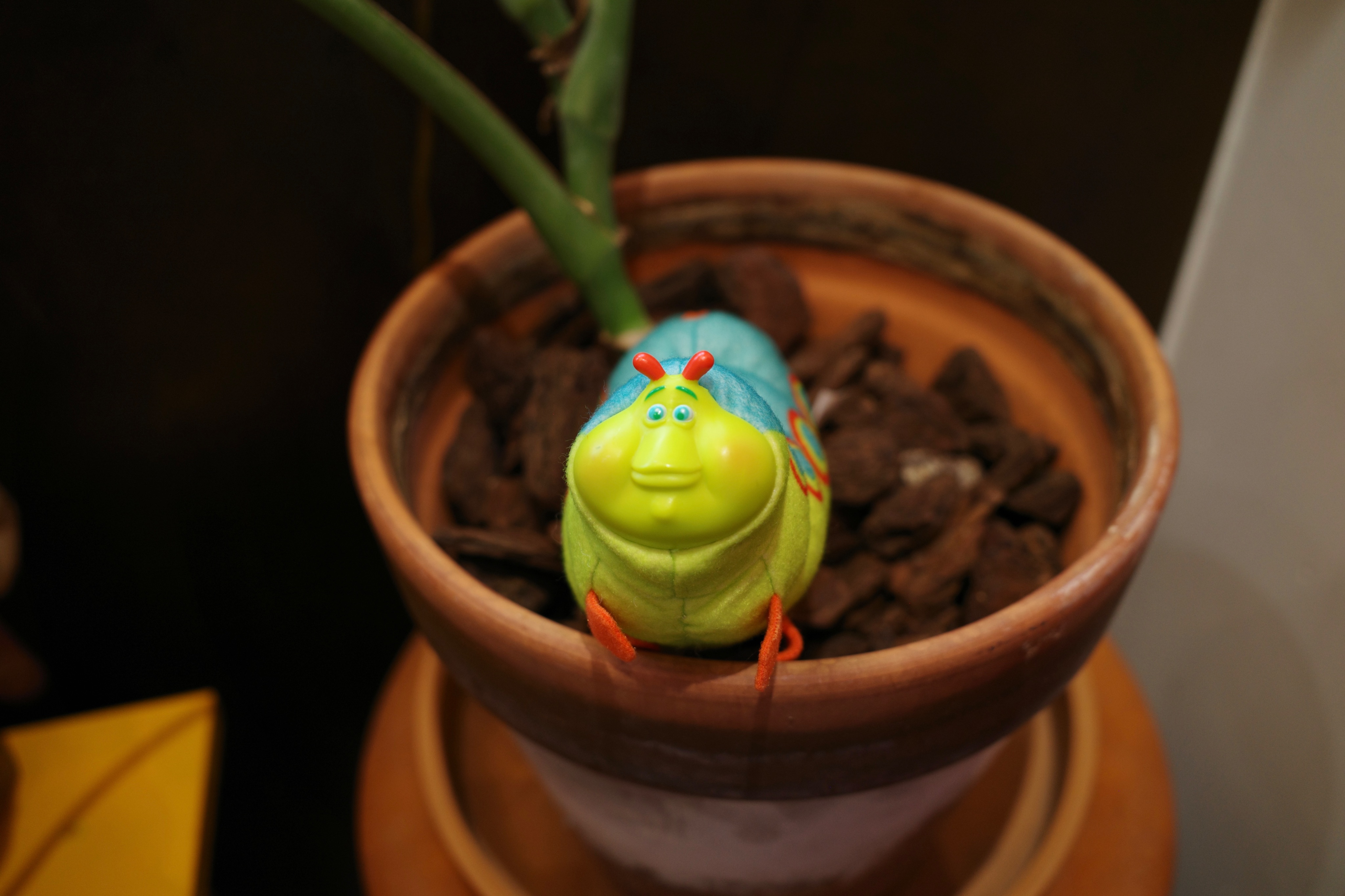 蟲蟲危機毛毛蟲哈其林娃娃 二手非全新